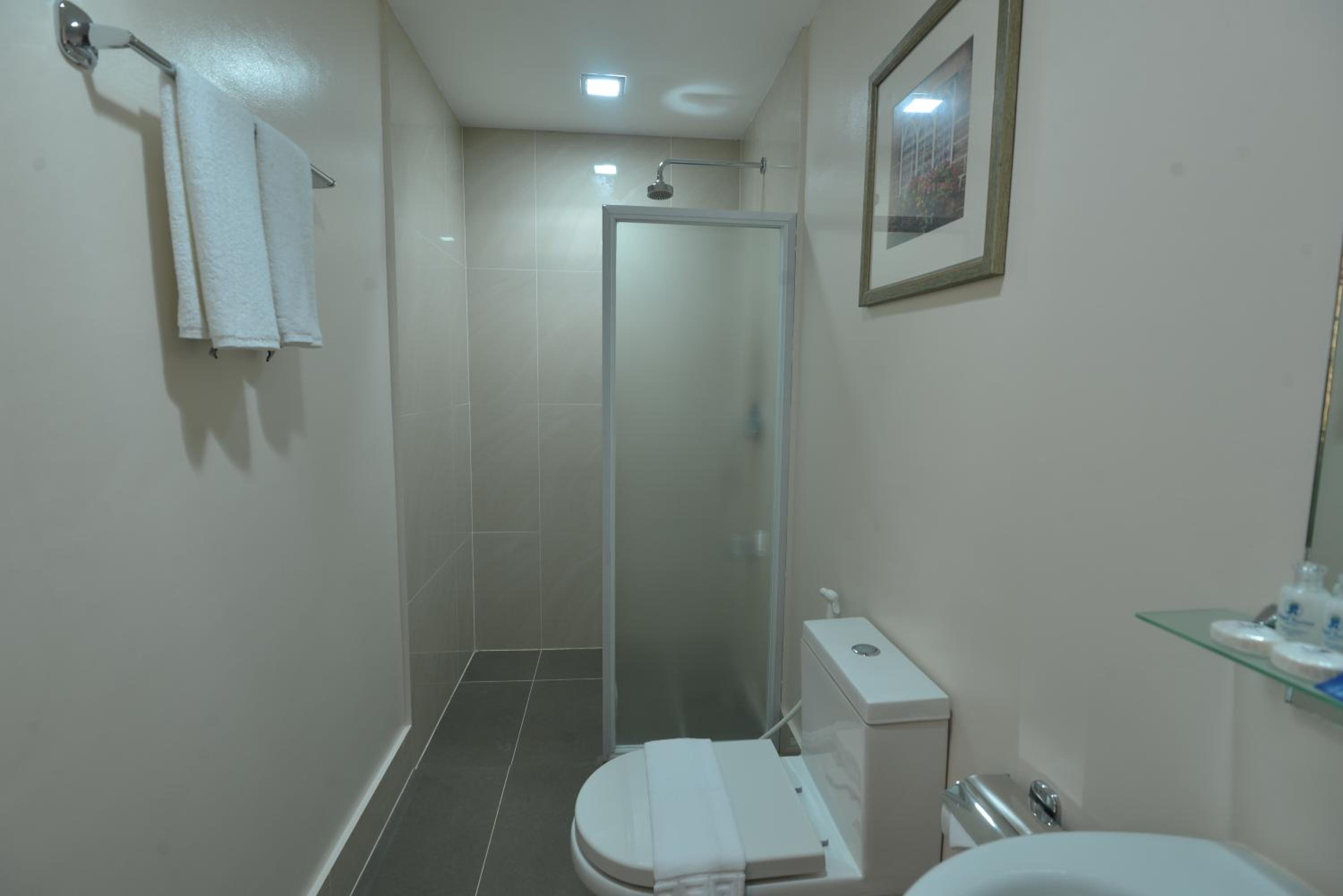 Premier Room photo 2