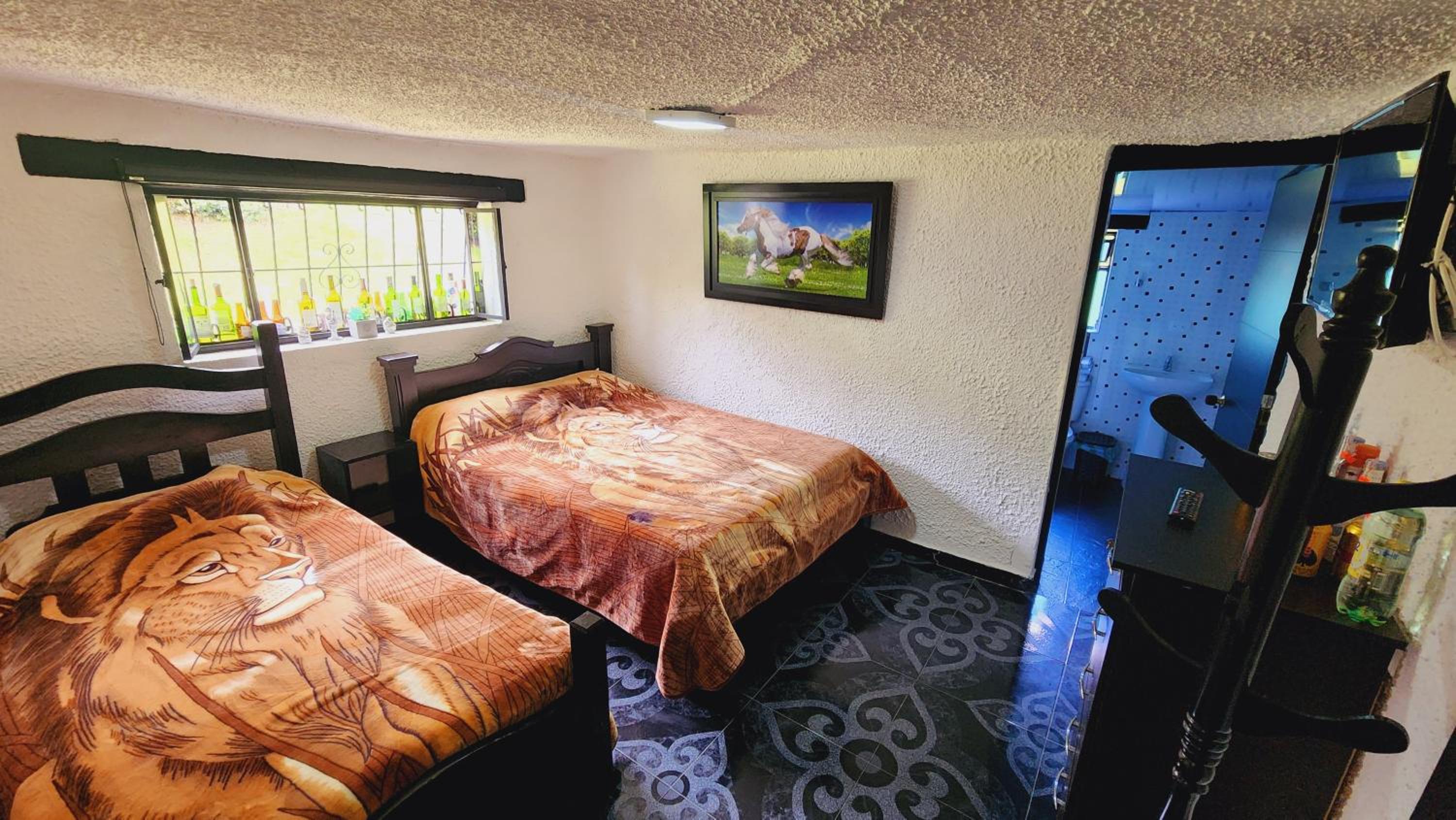 Triple Room with Private Bathroom photo 1