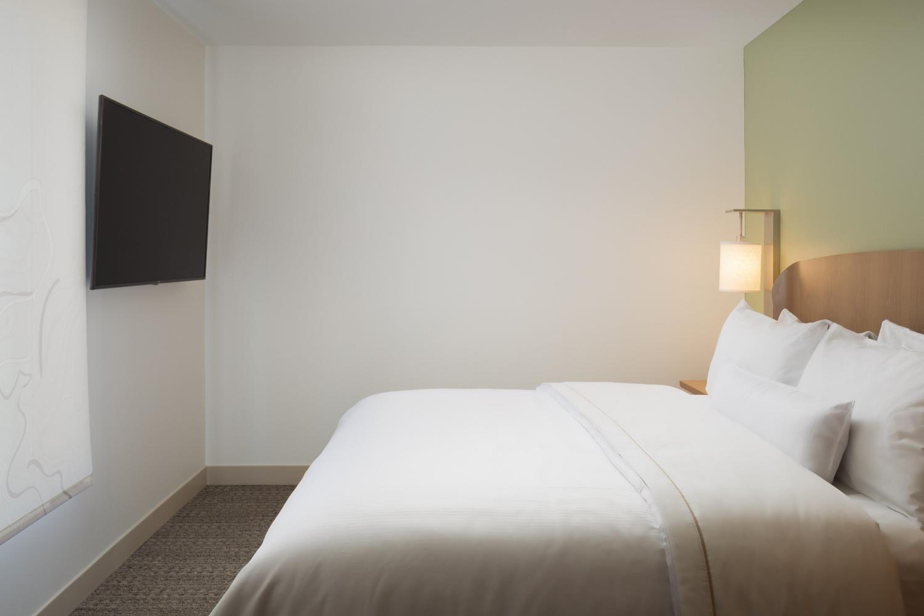Executive Suite, 1 King, Sofa bed - Photo 5