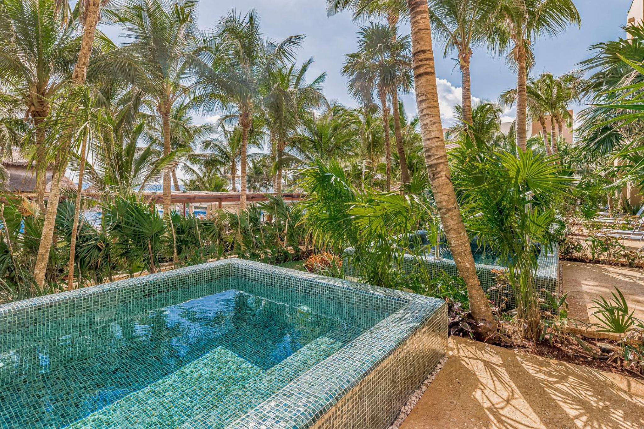 Premium Room with Plunge Pool 1 King - Photo 16