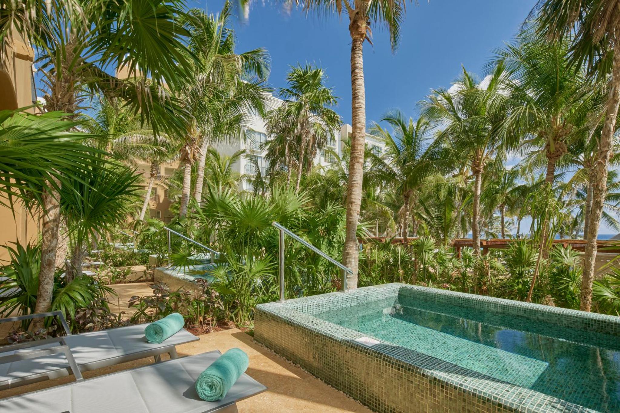 Premium Room with Plunge Pool 1 King - Photo 15