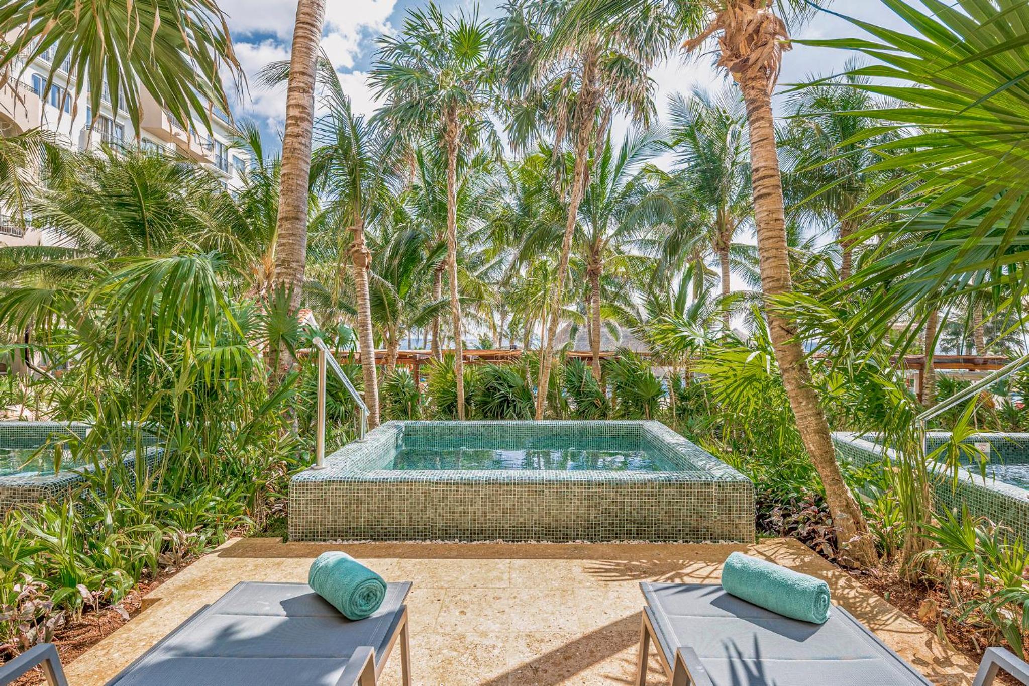 Premium Room with Plunge Pool 1 King - Photo 13