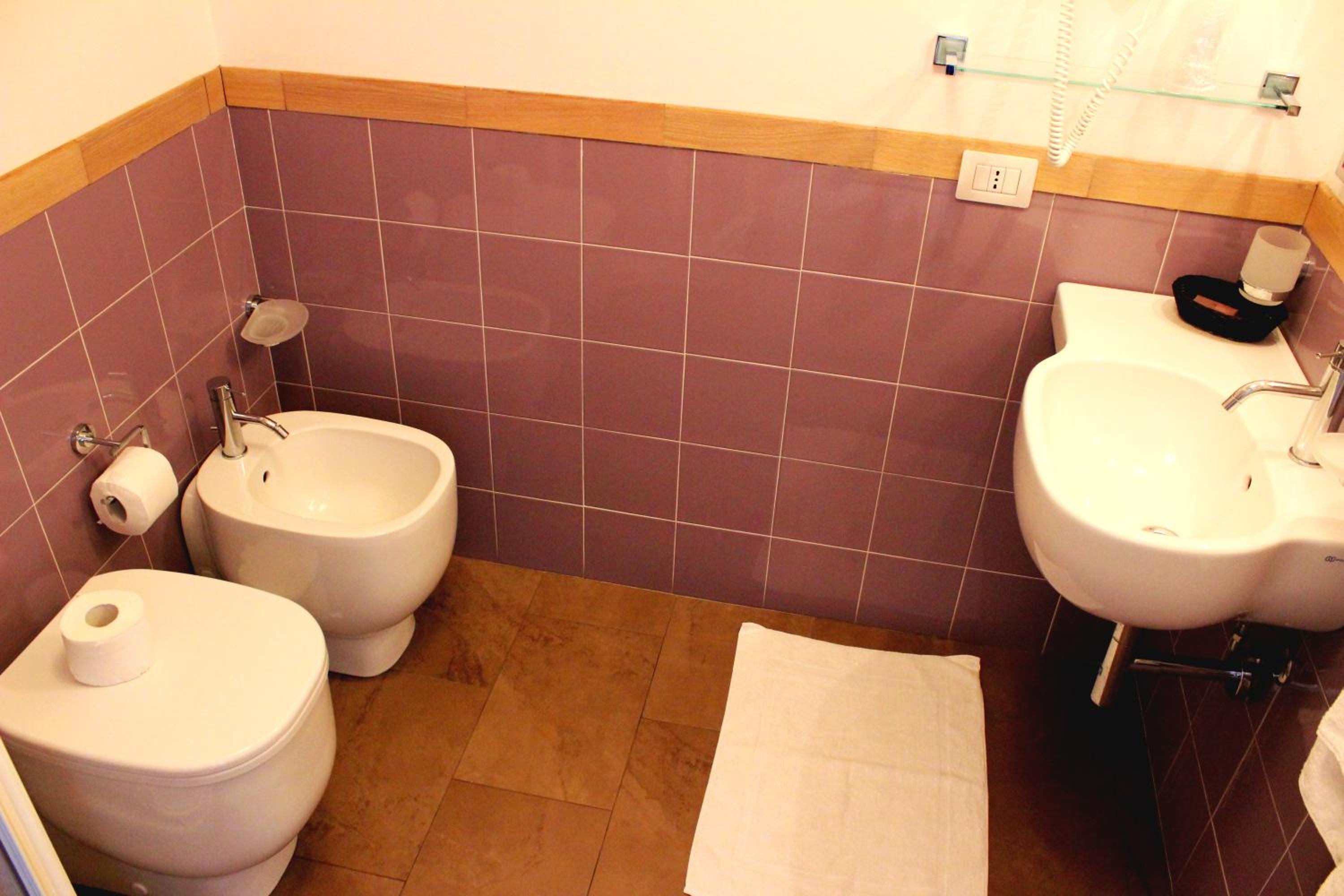 Double or Twin Room photo 3