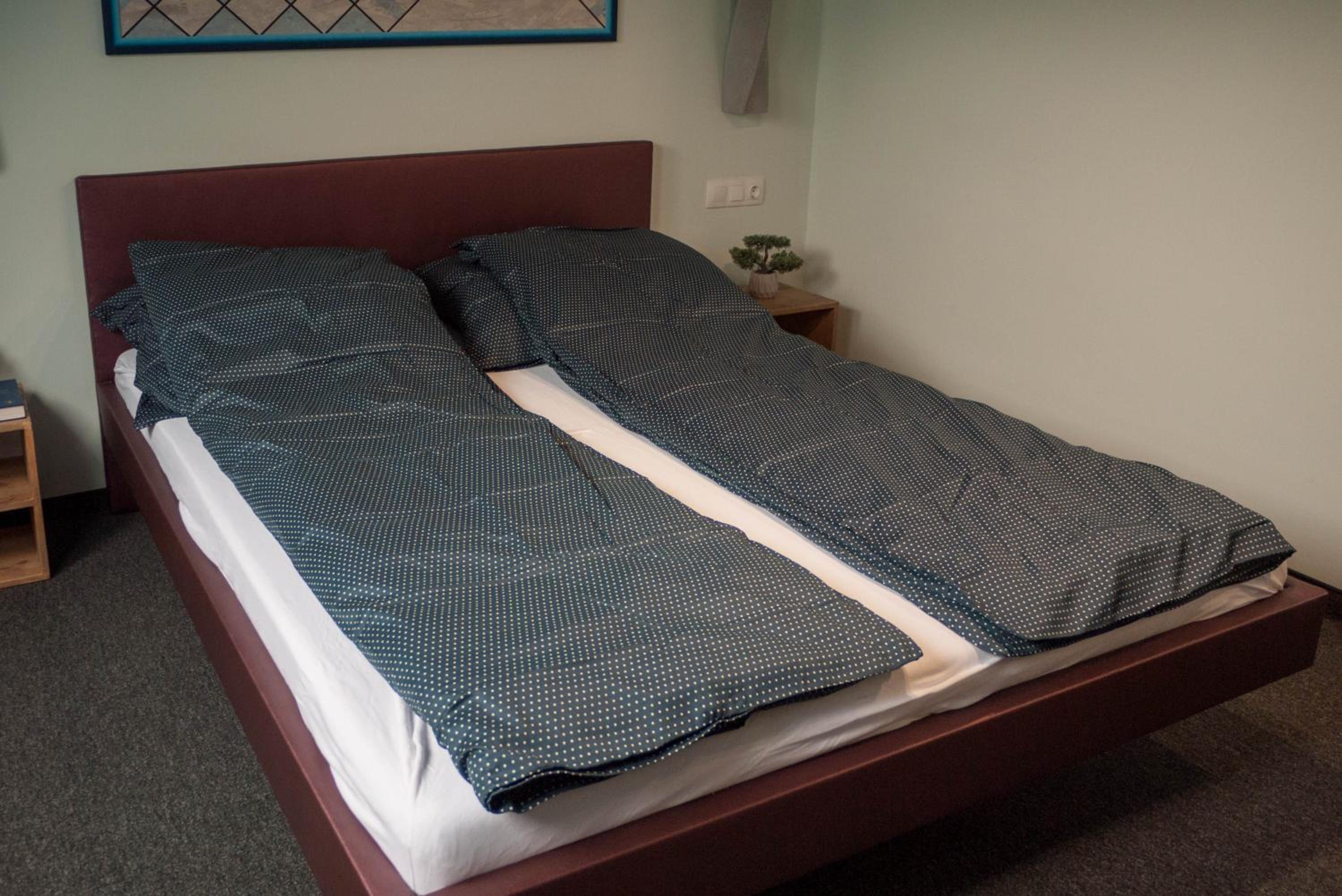 Deluxe Double Room with Extra Bed - Photo 10