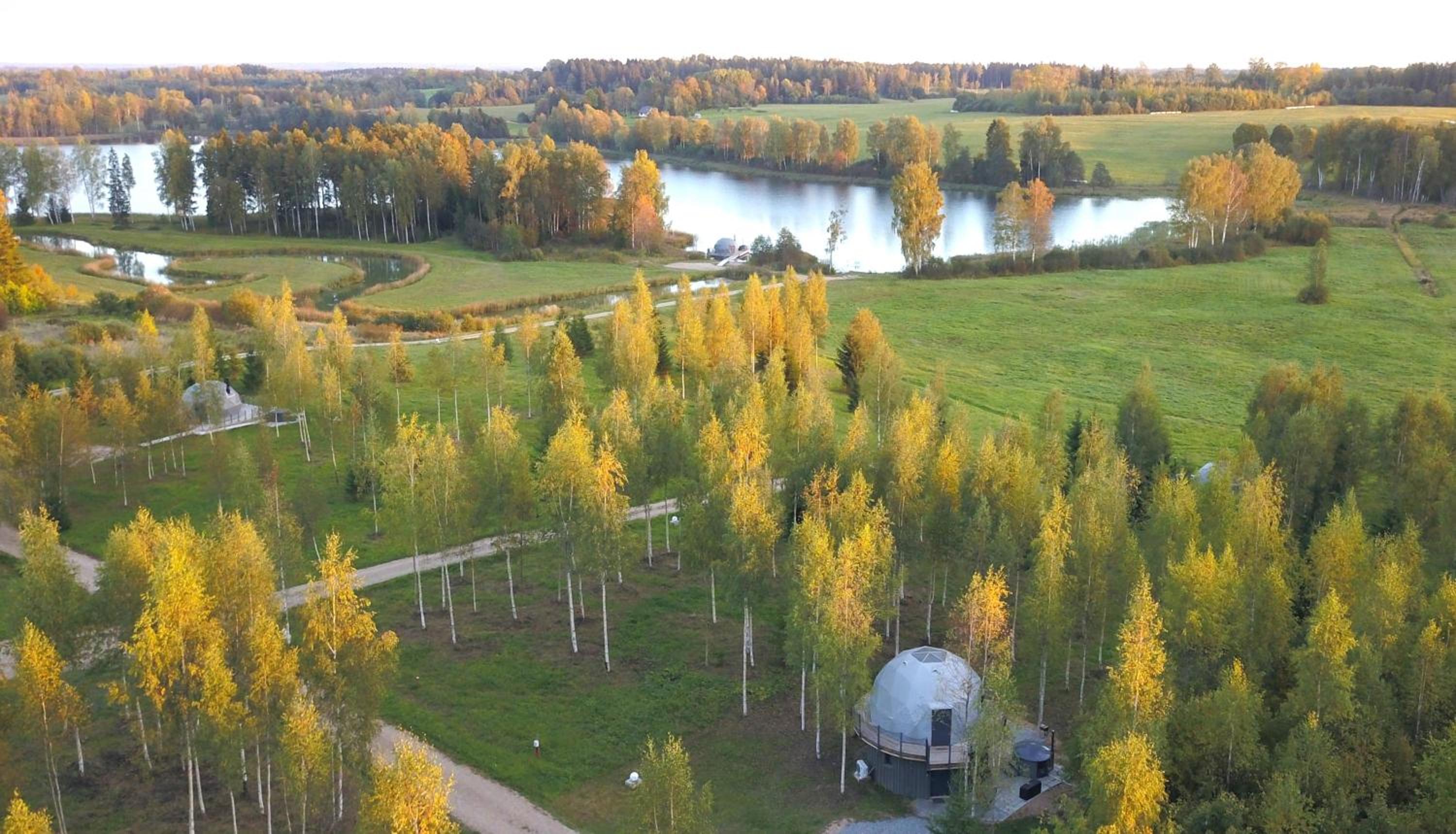 Tent Birches - Photo 20