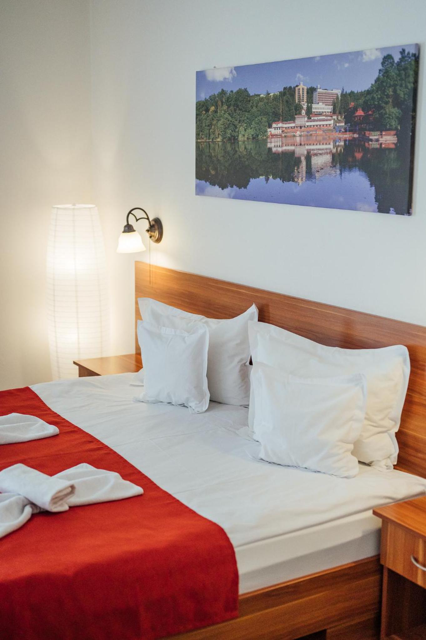 Superior Double Room - Photo 7