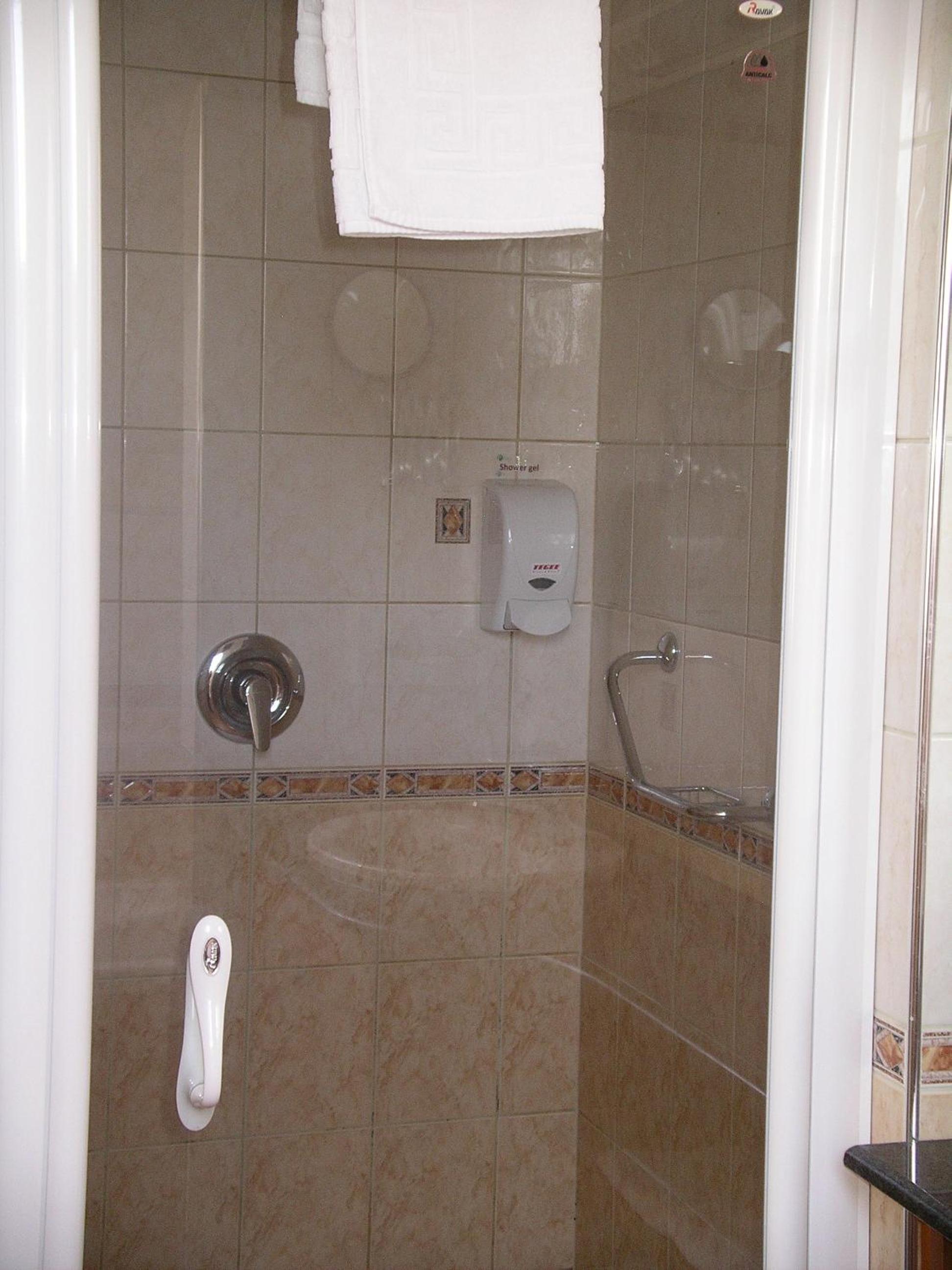 Large One-Bedroom Apartment photo 2