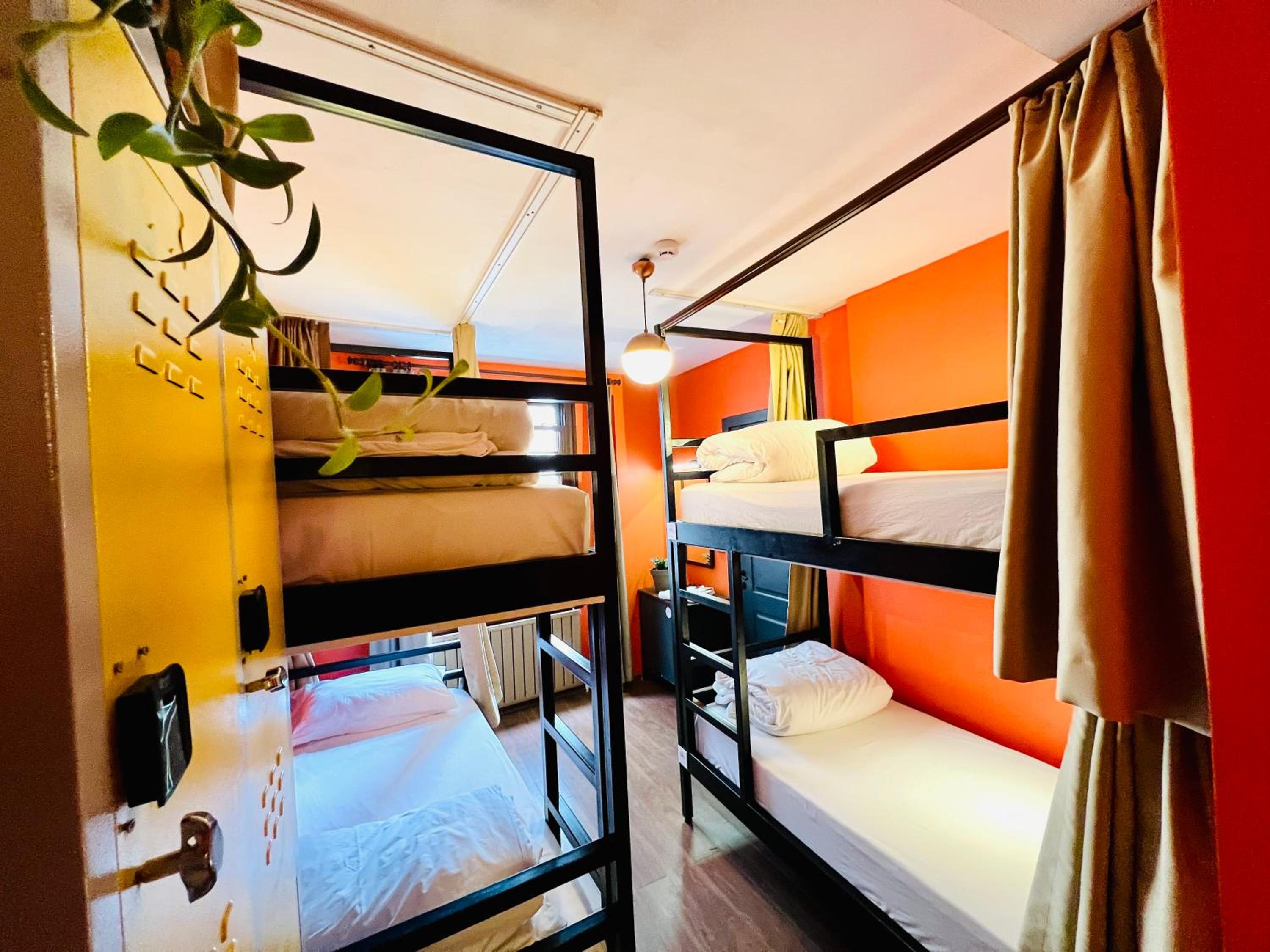 Single Bed in Mixed Dormitory Room photo 1