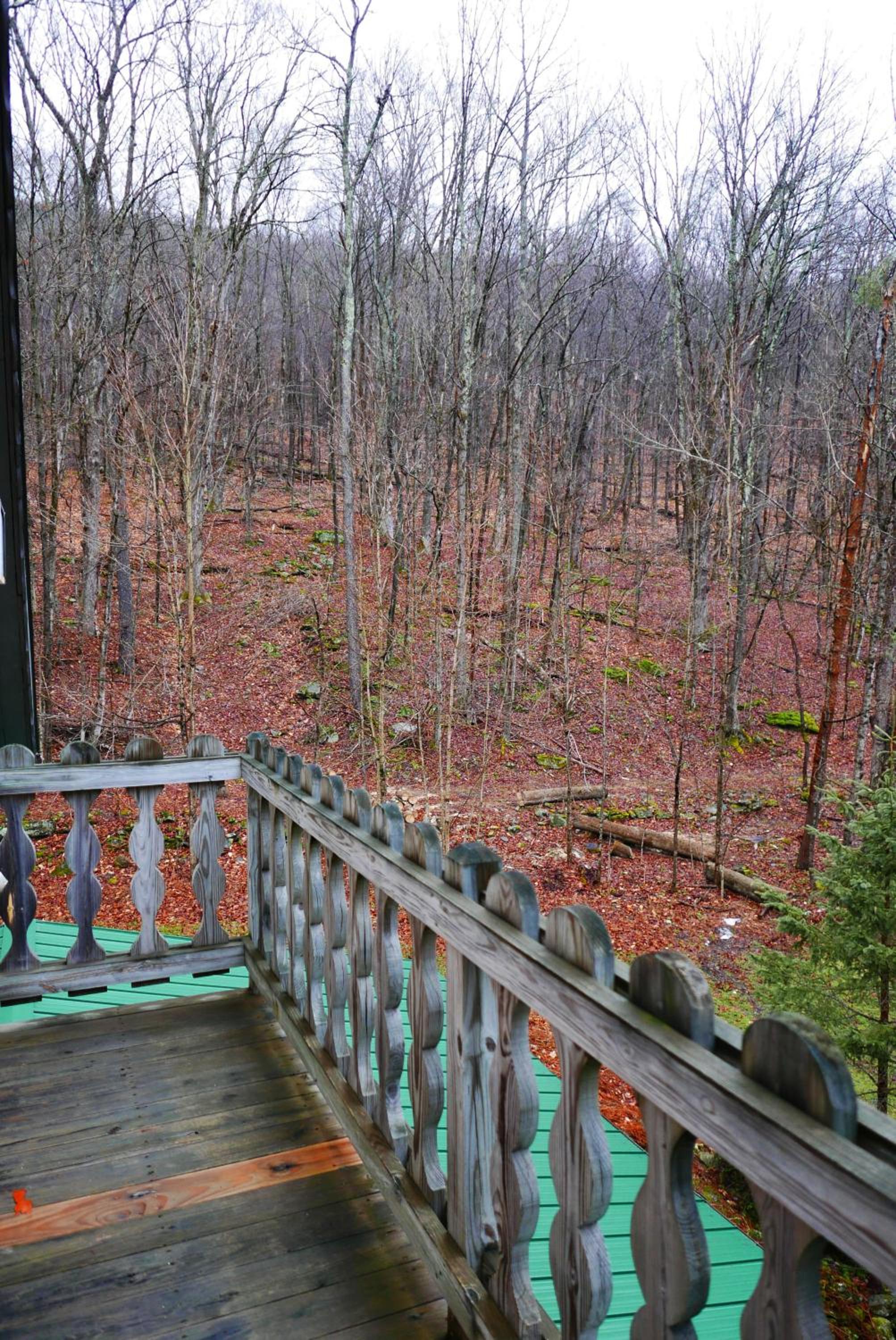 Family Room with Balcony photo 2