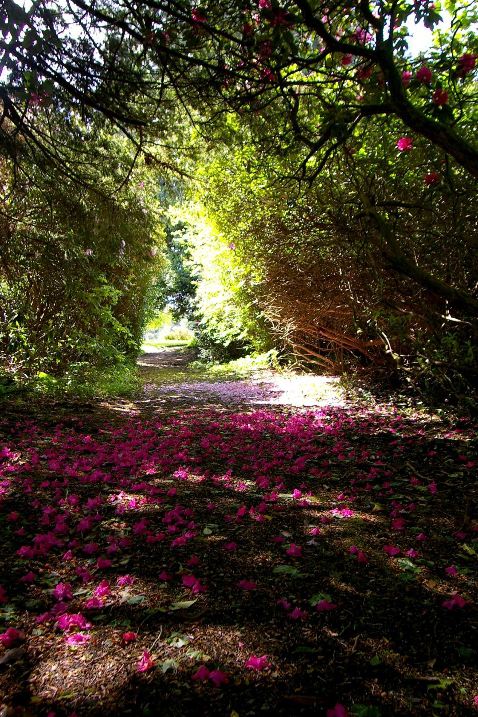 Laurel Apartment - Photo 9