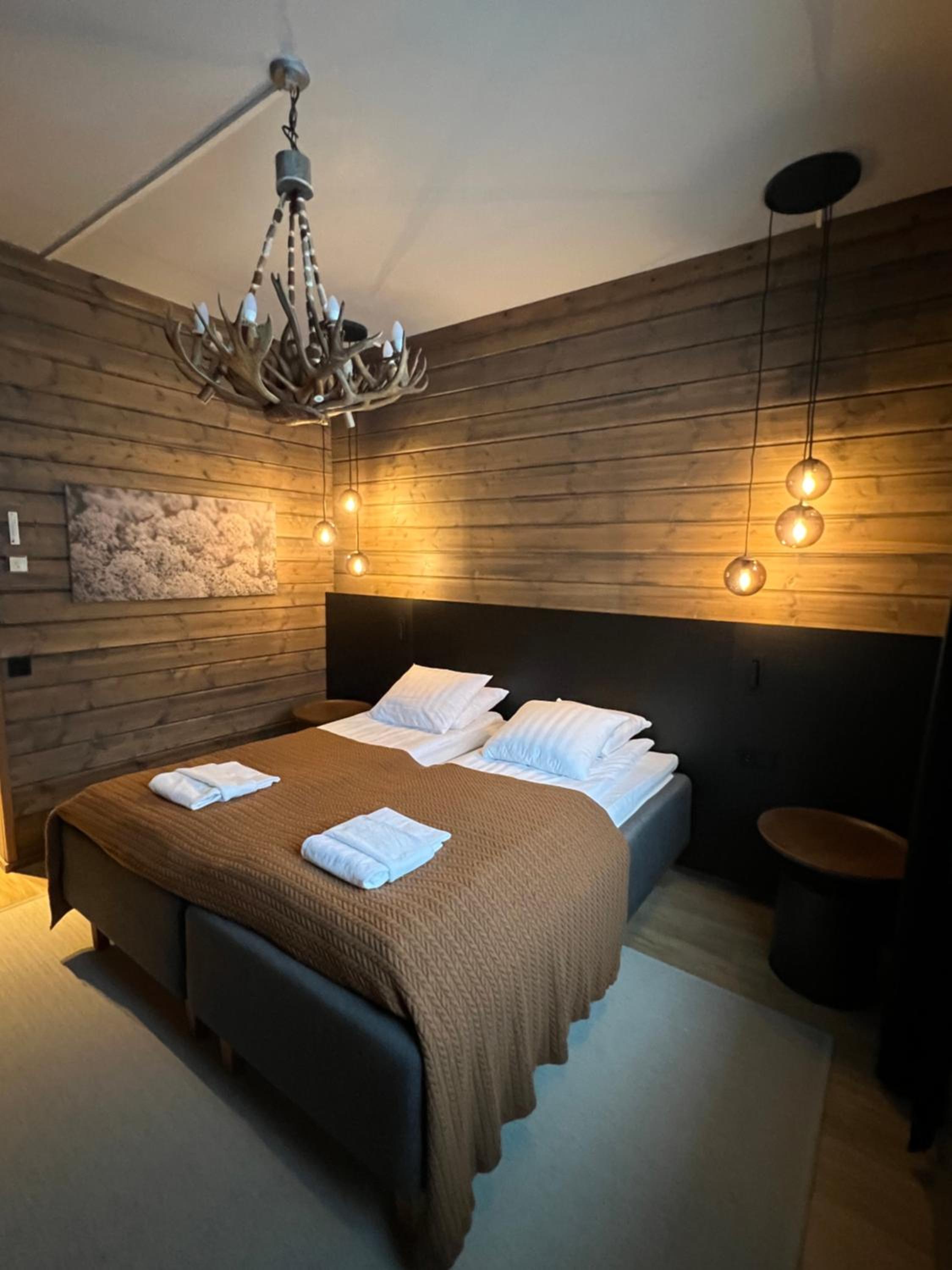 Wilderness Room photo 2