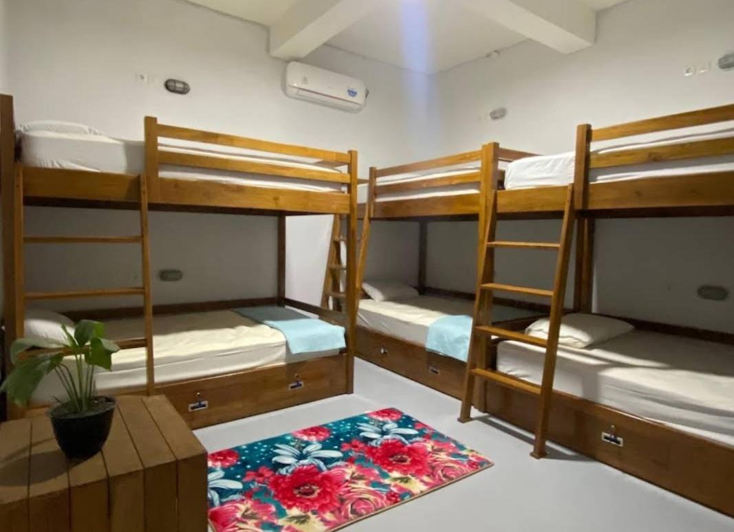 Bed in 6-Bed Female Dormitory Room photo 1