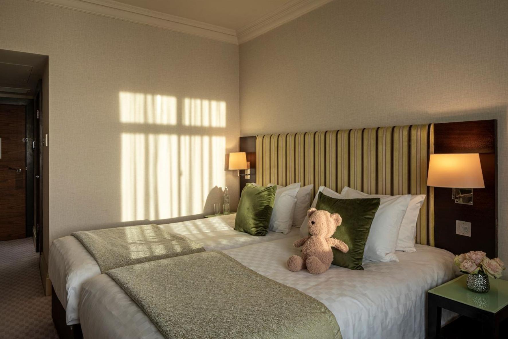 Superior Twin Room photo 3
