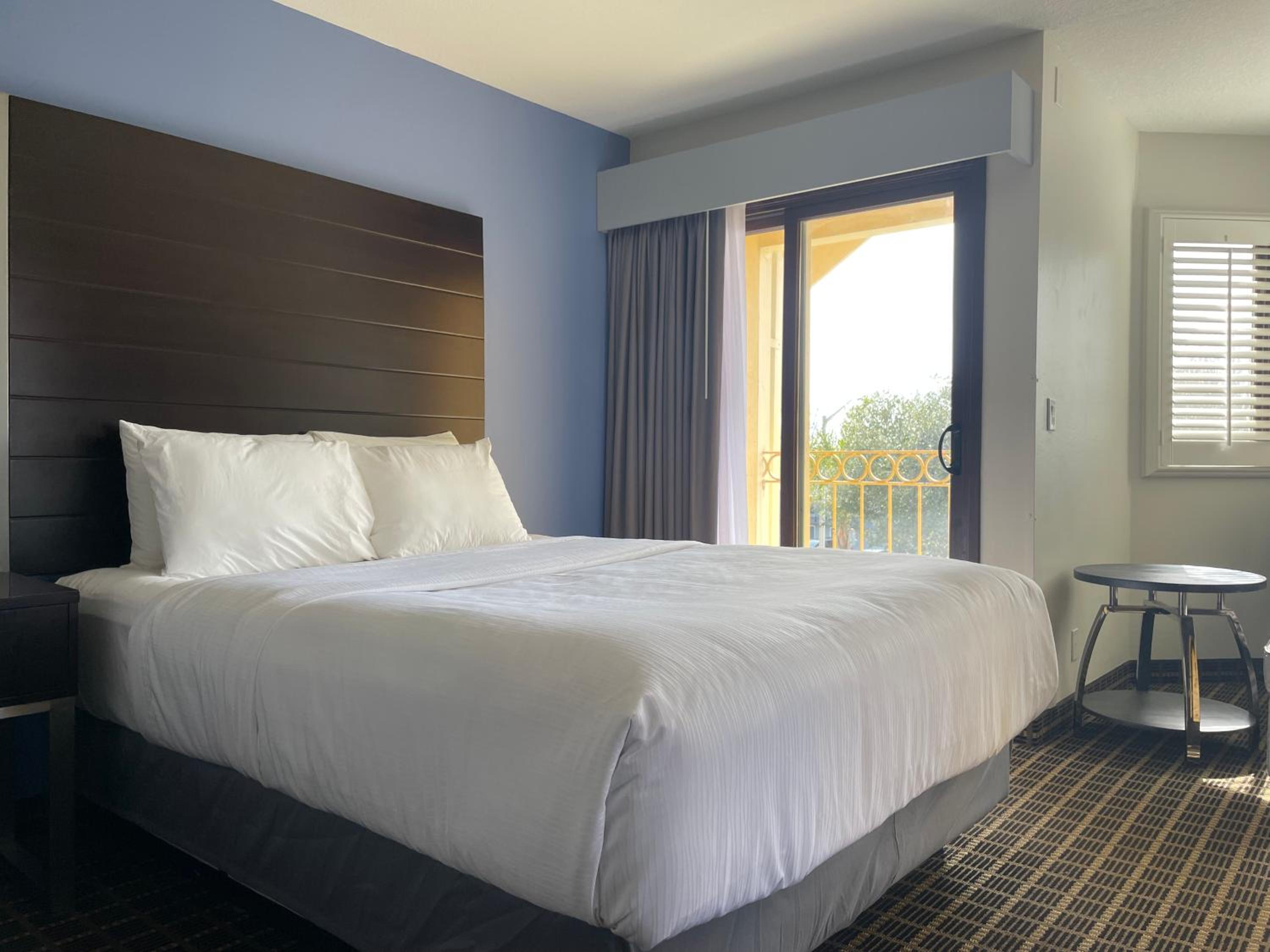 Family Suite photo 1
