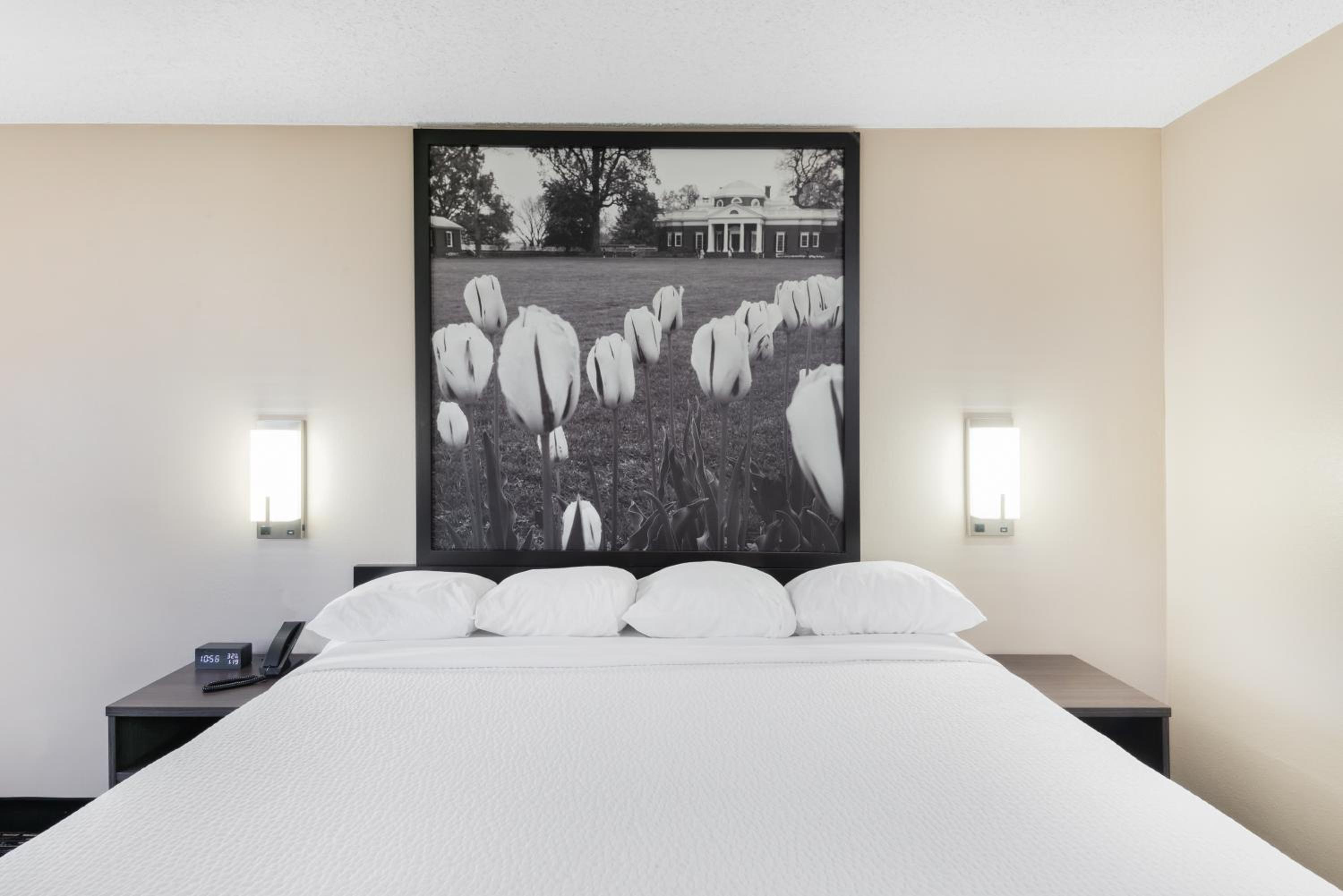 King Room - Photo 1