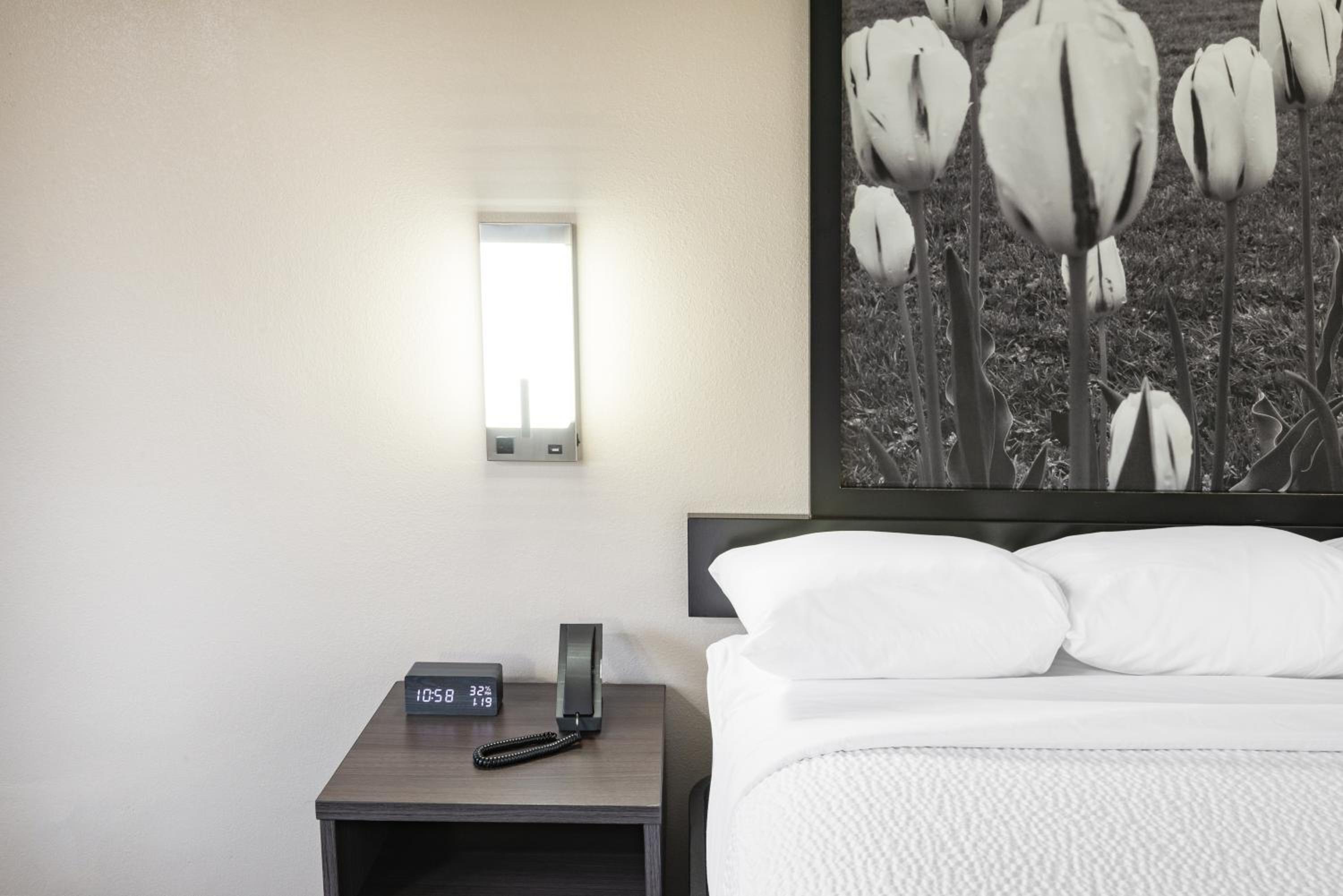 King Room - Photo 4