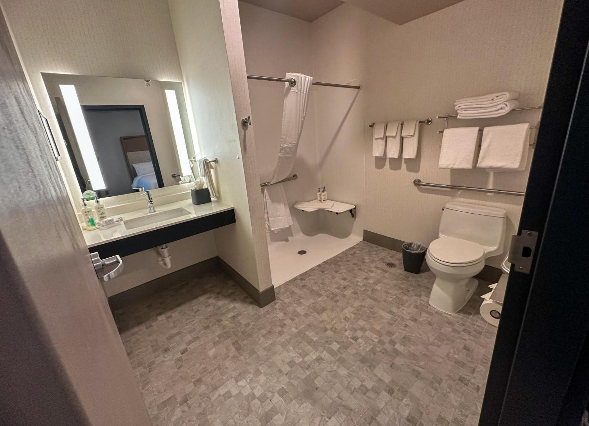 King Room - Mobility Access/Hearing Accessible - Photo 6