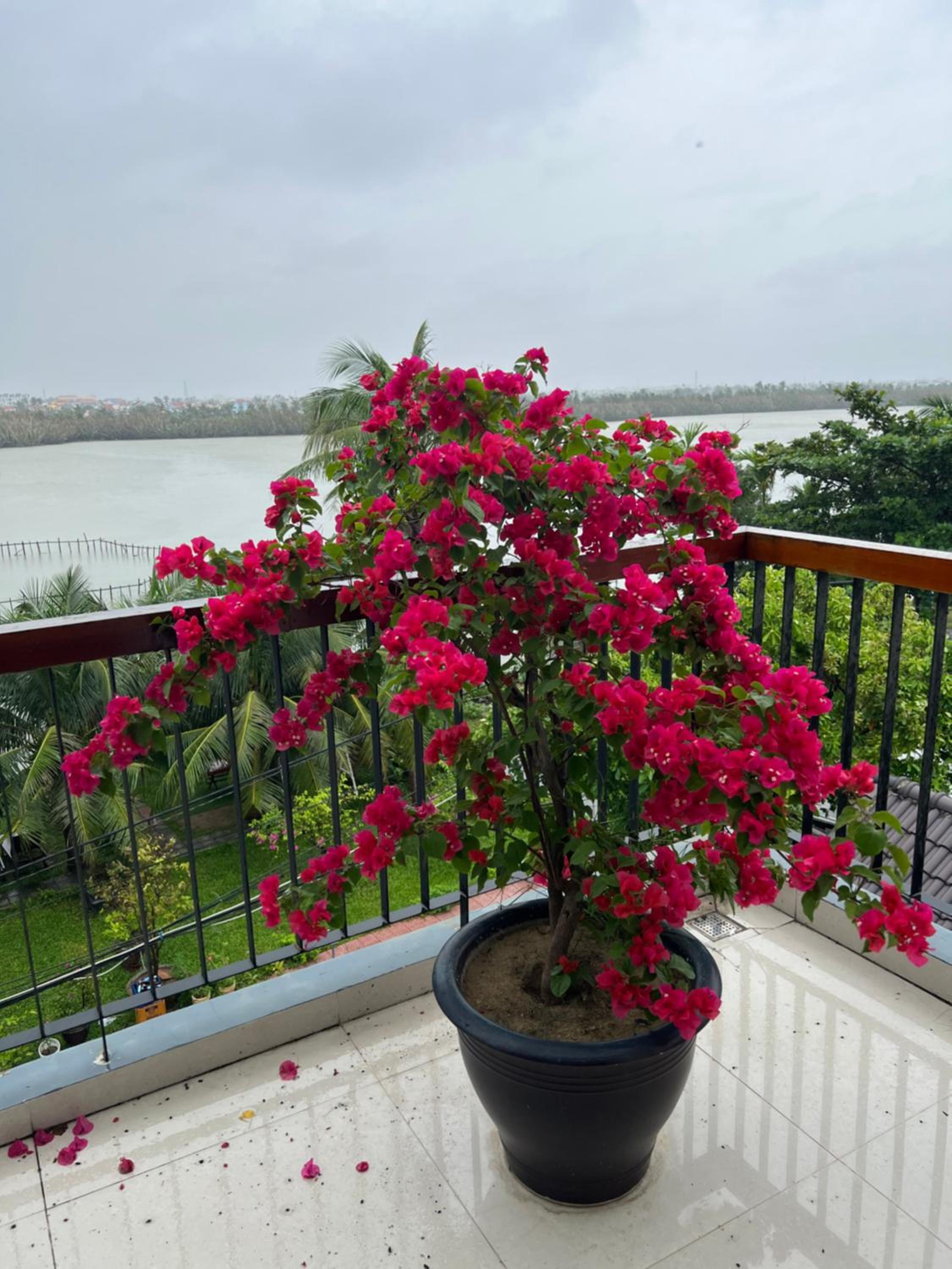 Deluxe Double Room With Balcony - Photo 23