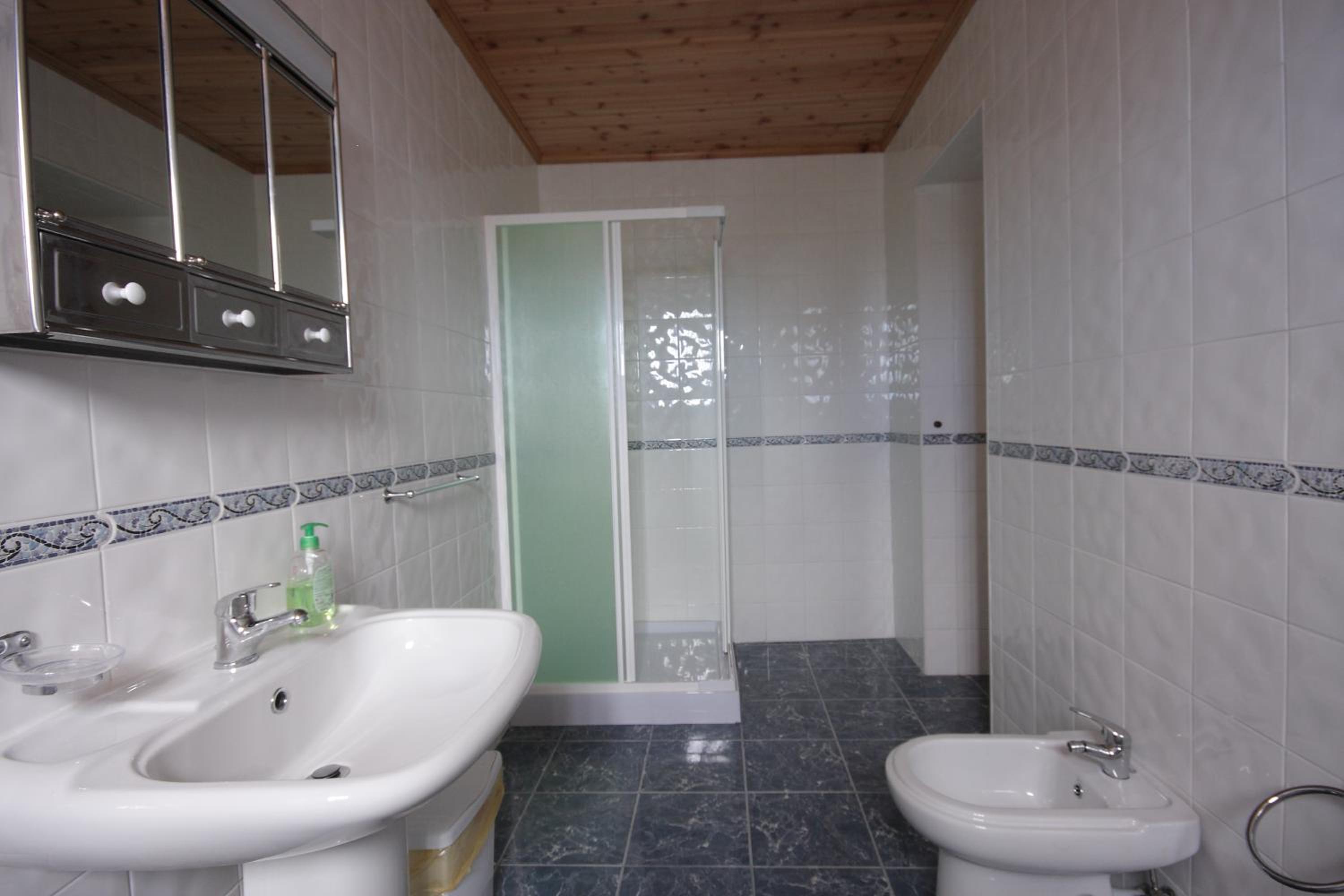 Four-Bedroom House photo 3