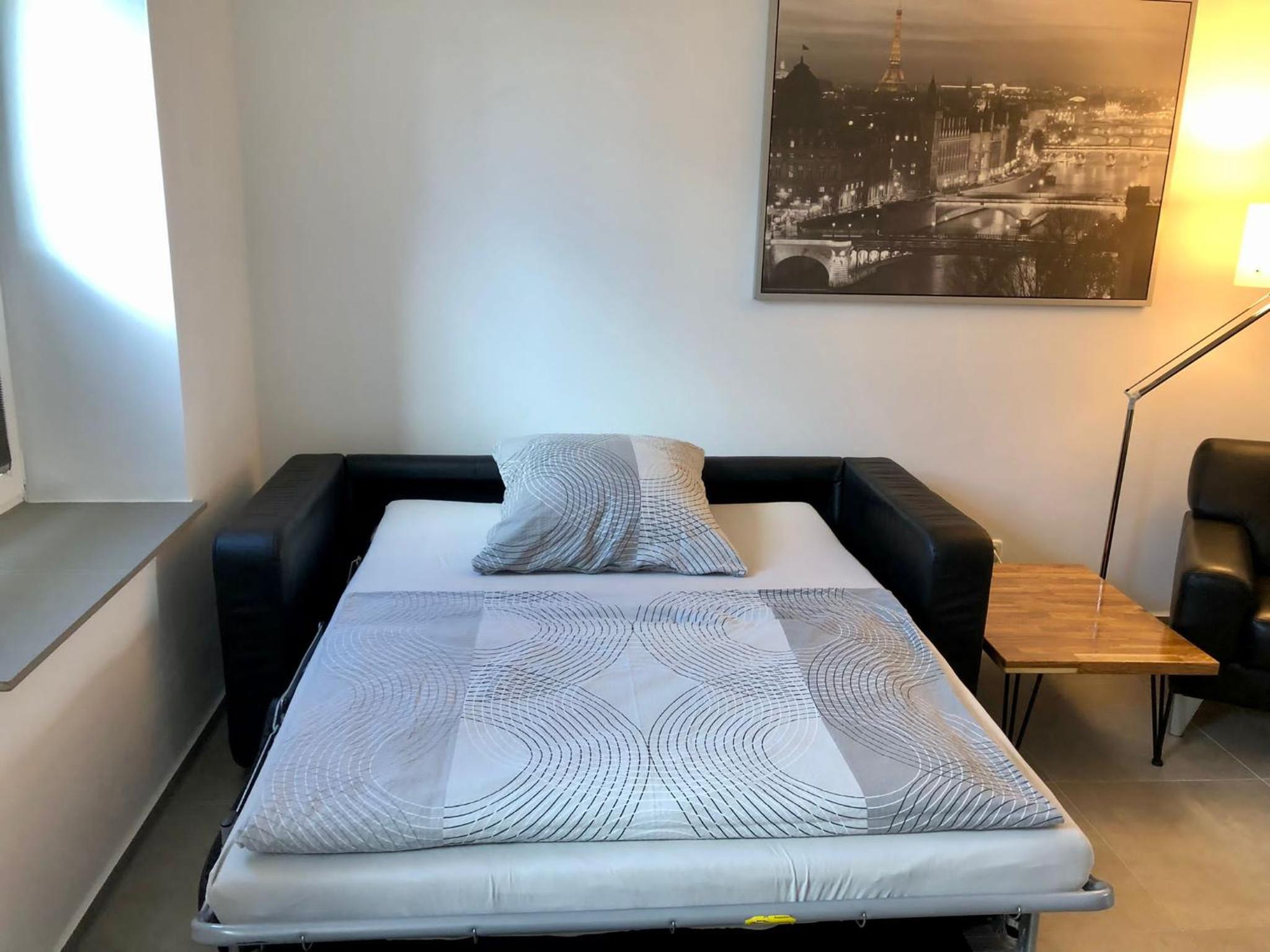 One-Bedroom Apartment photo 3