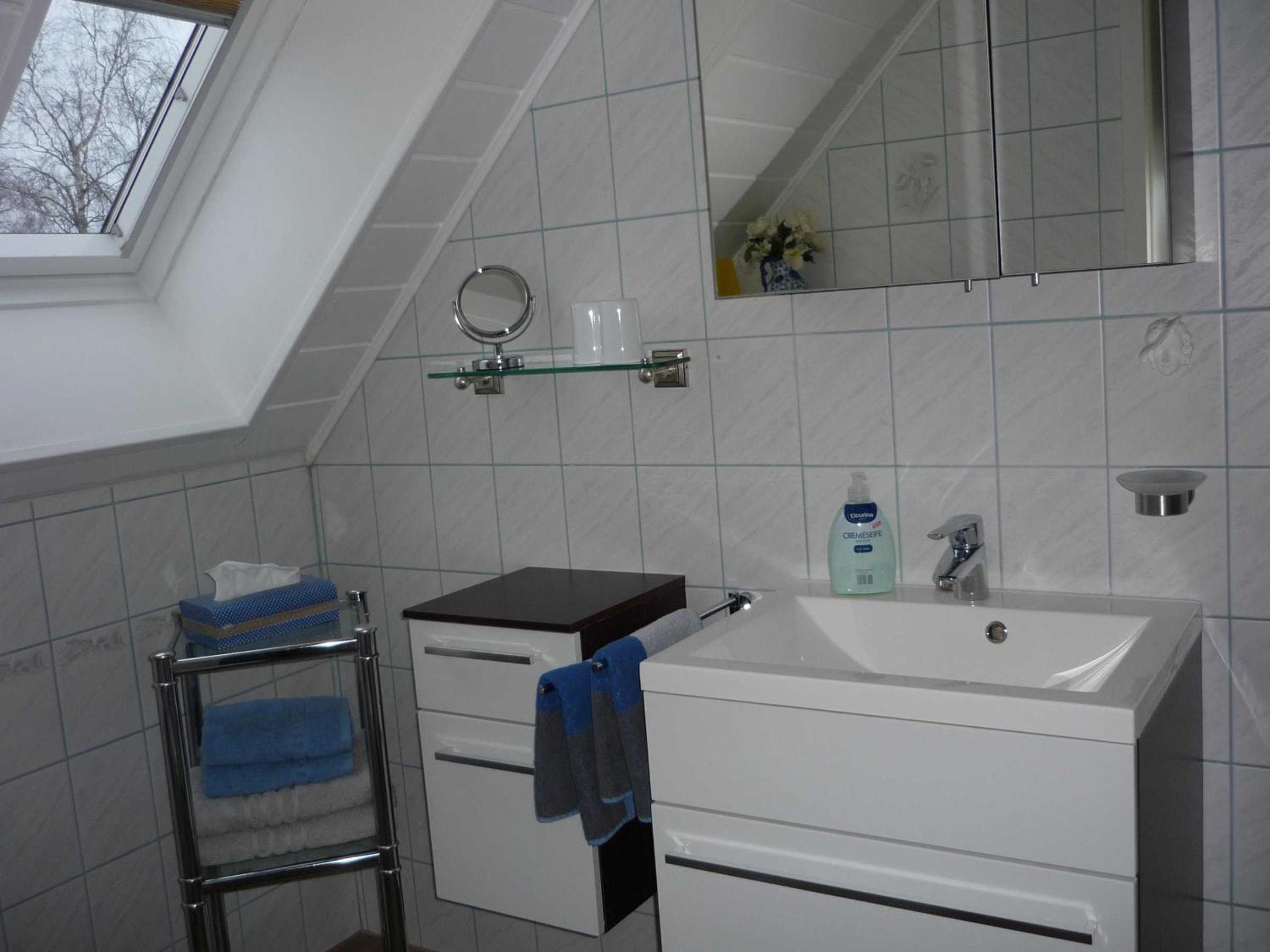 Apartment with Shower photo 2