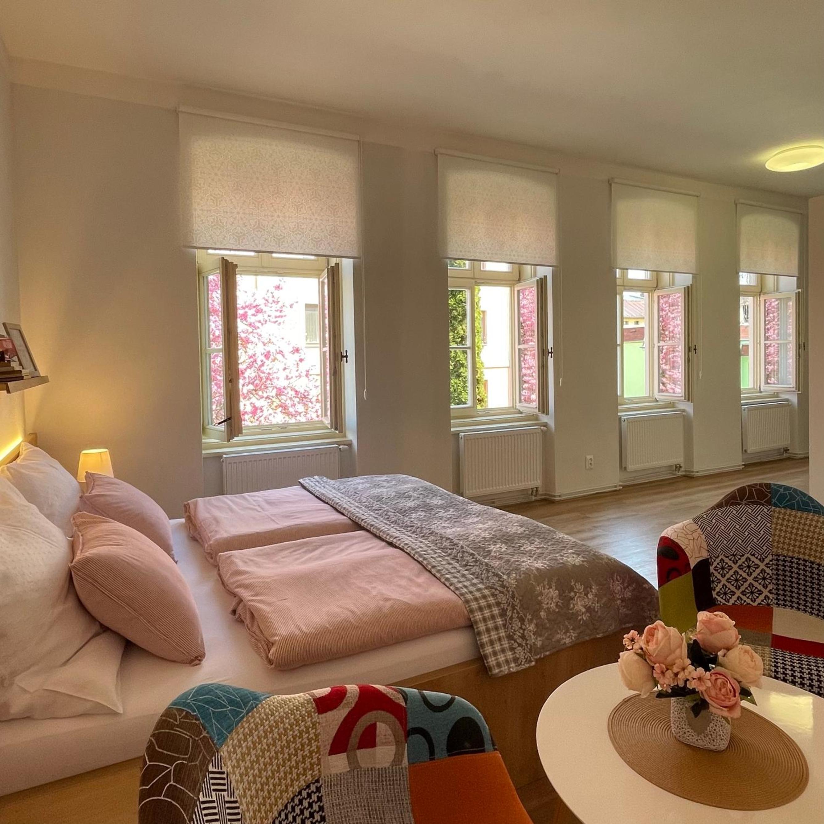 Studio Apartment photo 1