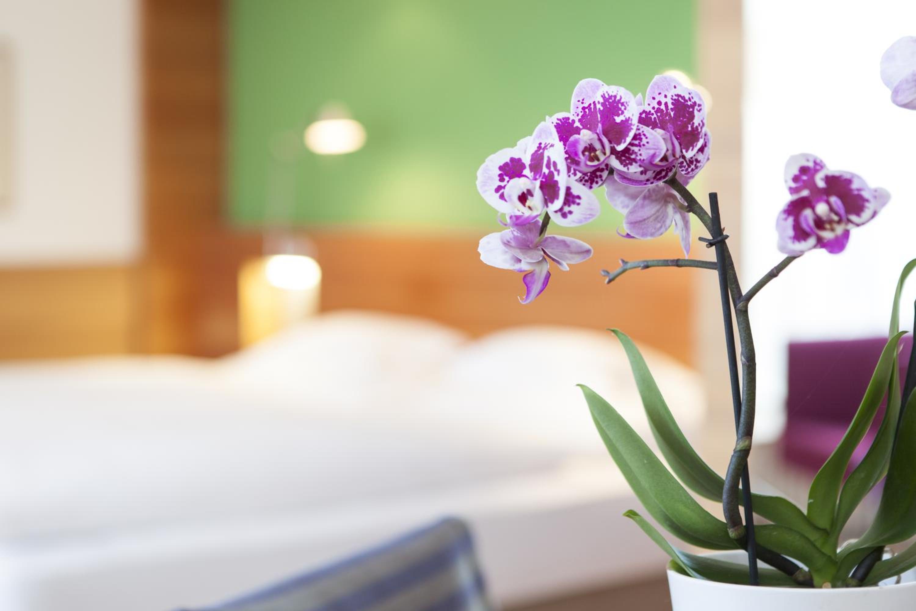 Double or Twin Room with Balcony