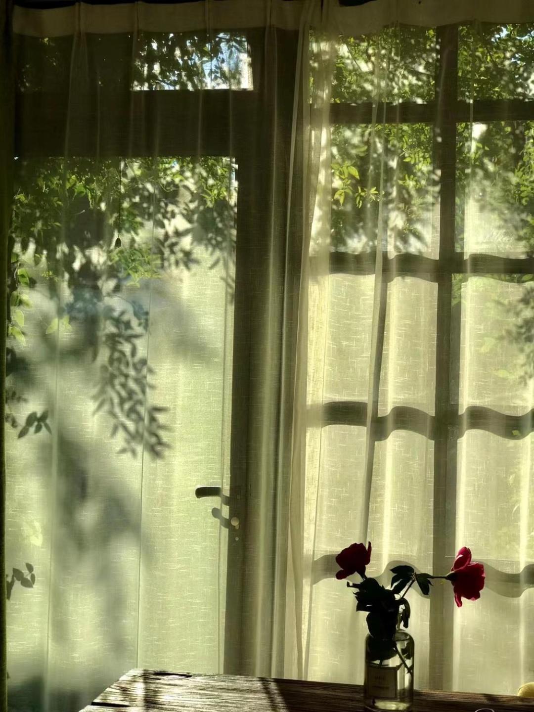 Queen Room with Garden View