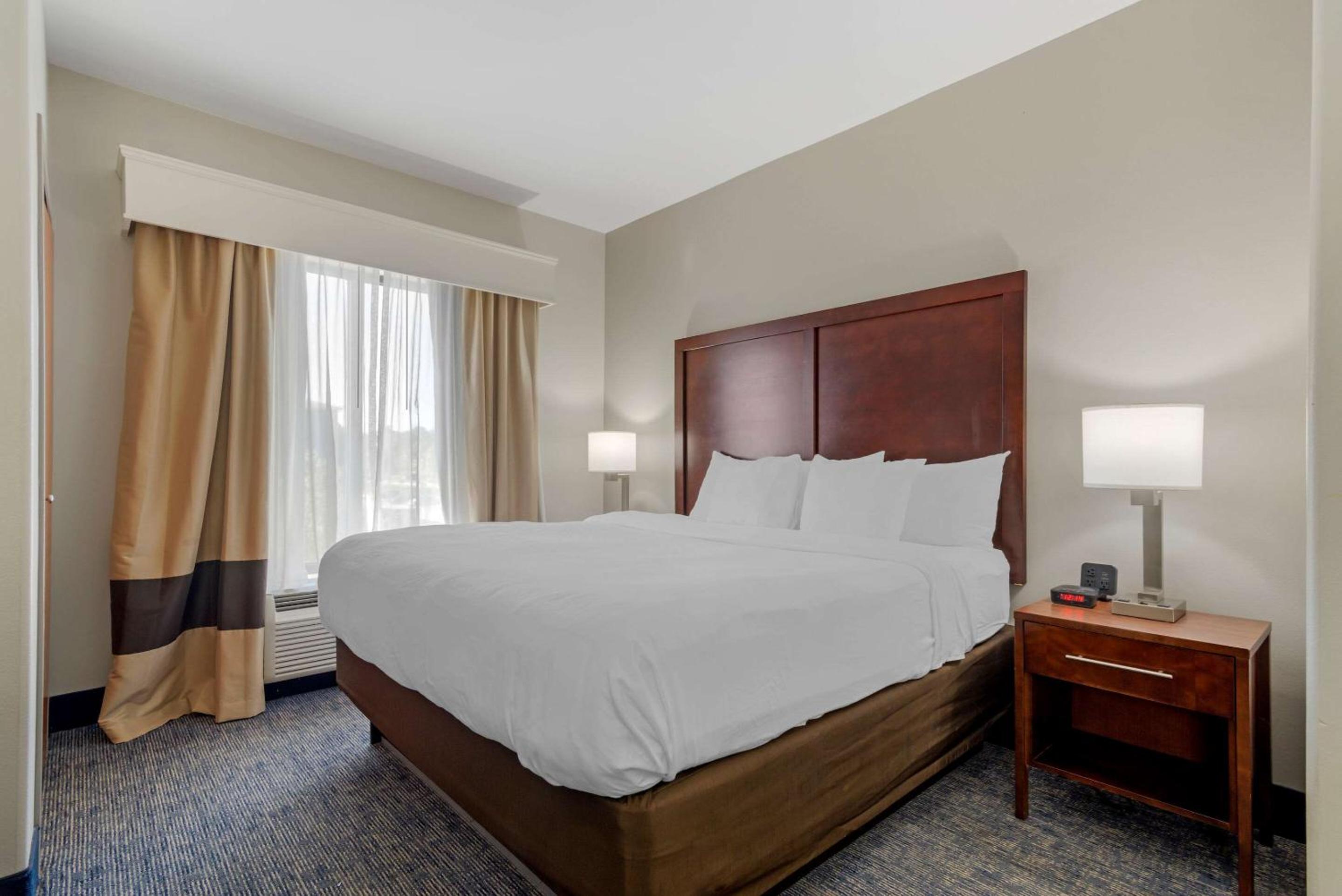 King Suite - Non-Smoking - Photo 3