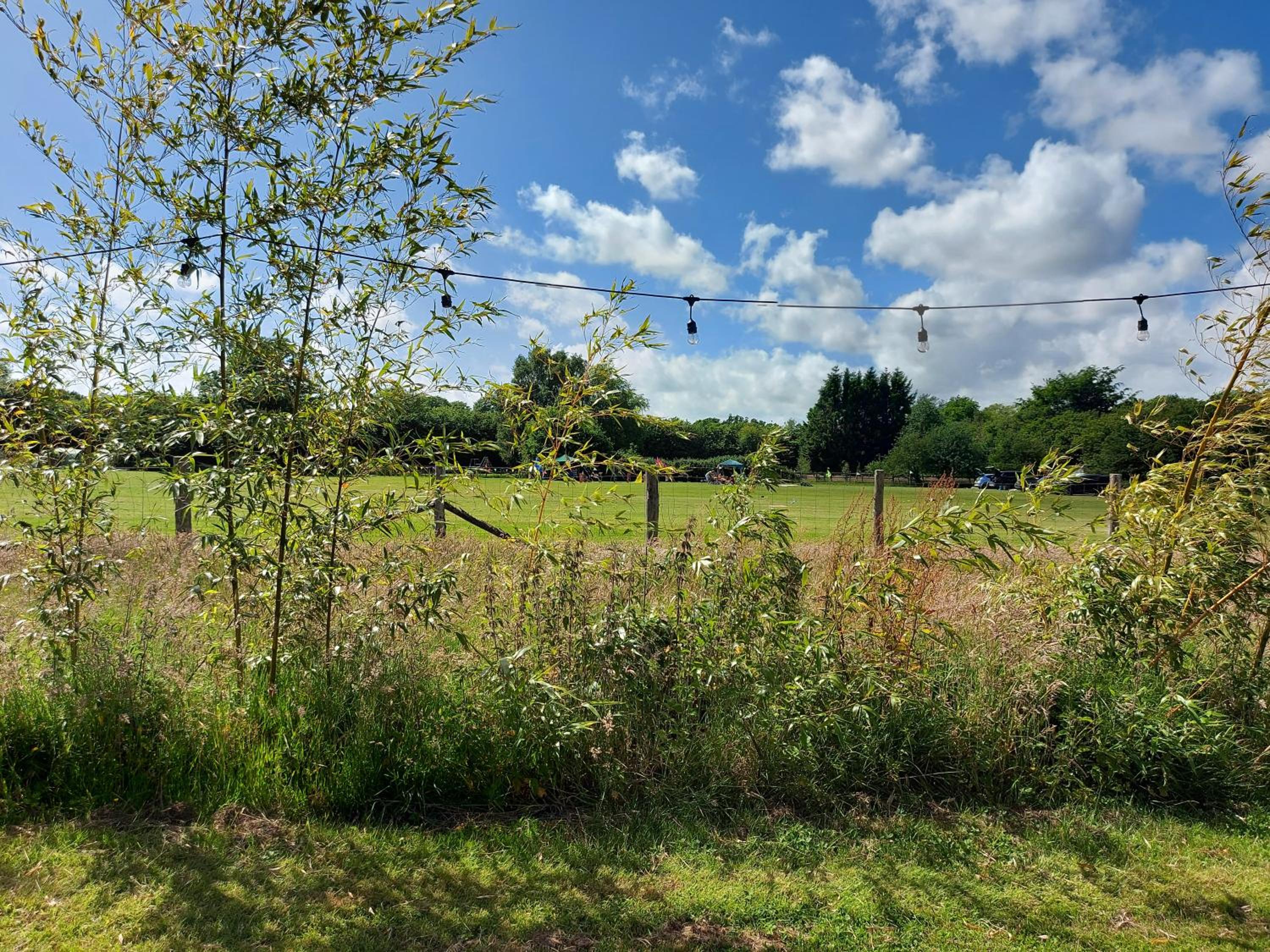 Empty Lot photo 2