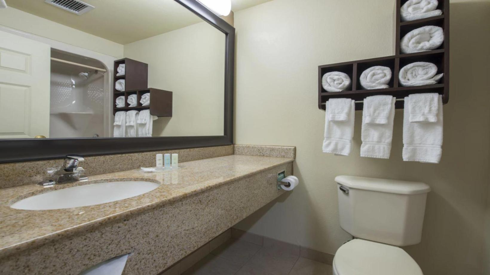 King Suite - Non-Smoking - Photo 8