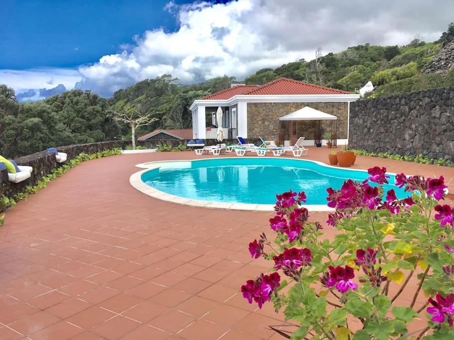 Three-Bedroom Villa photo 2