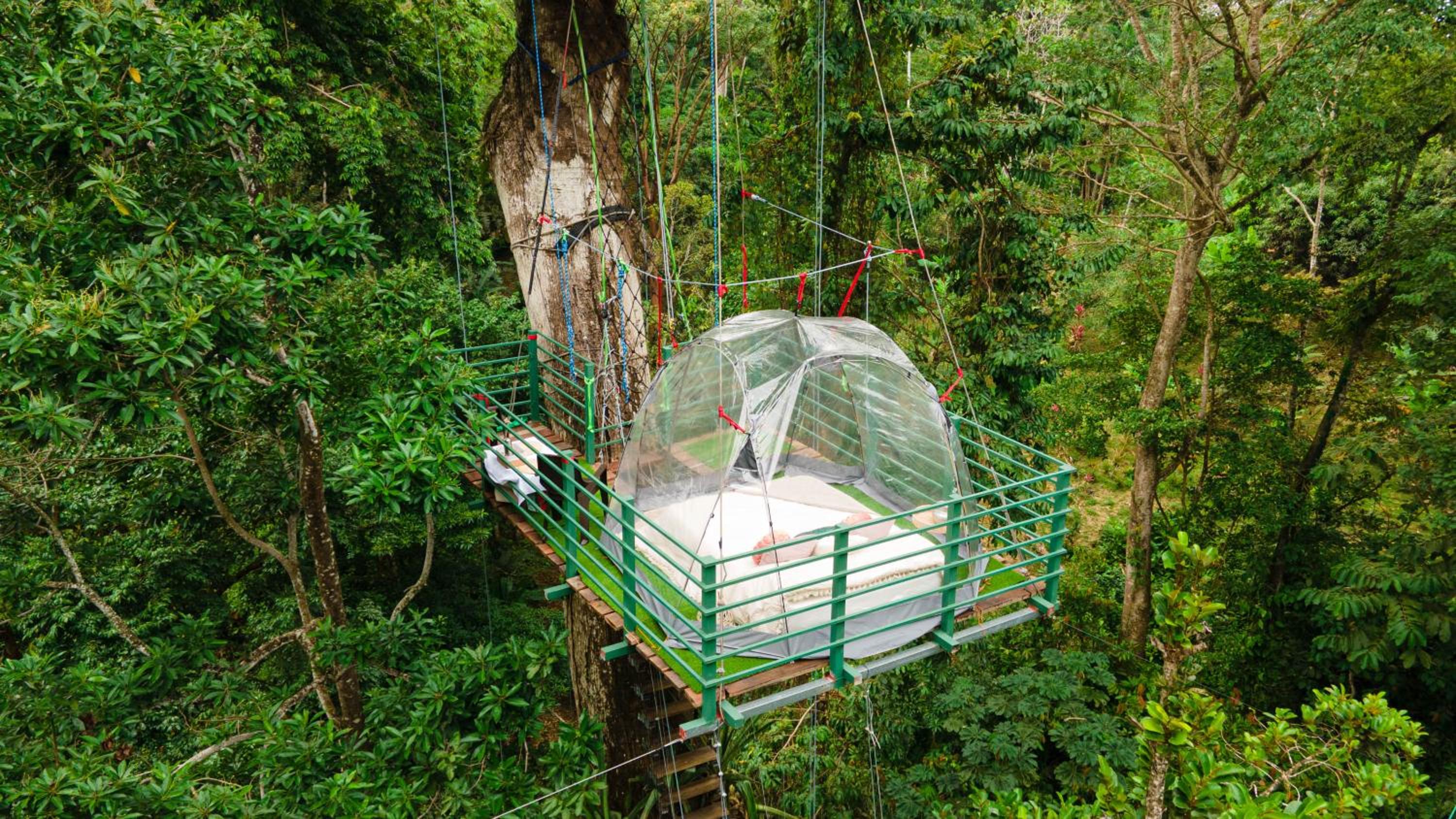 Ceibo Tree House Tent photo 3
