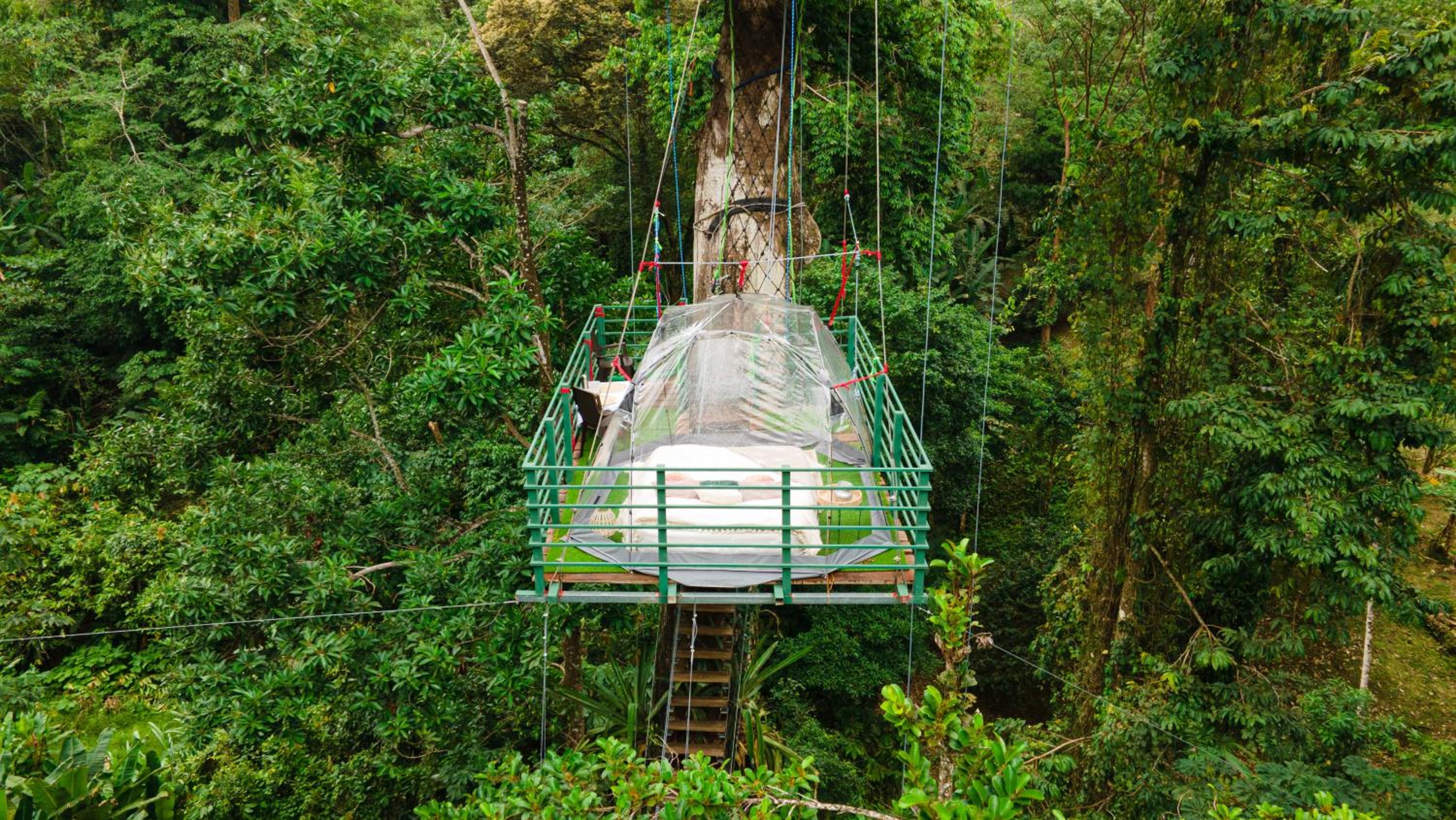 Ceibo Tree House Tent