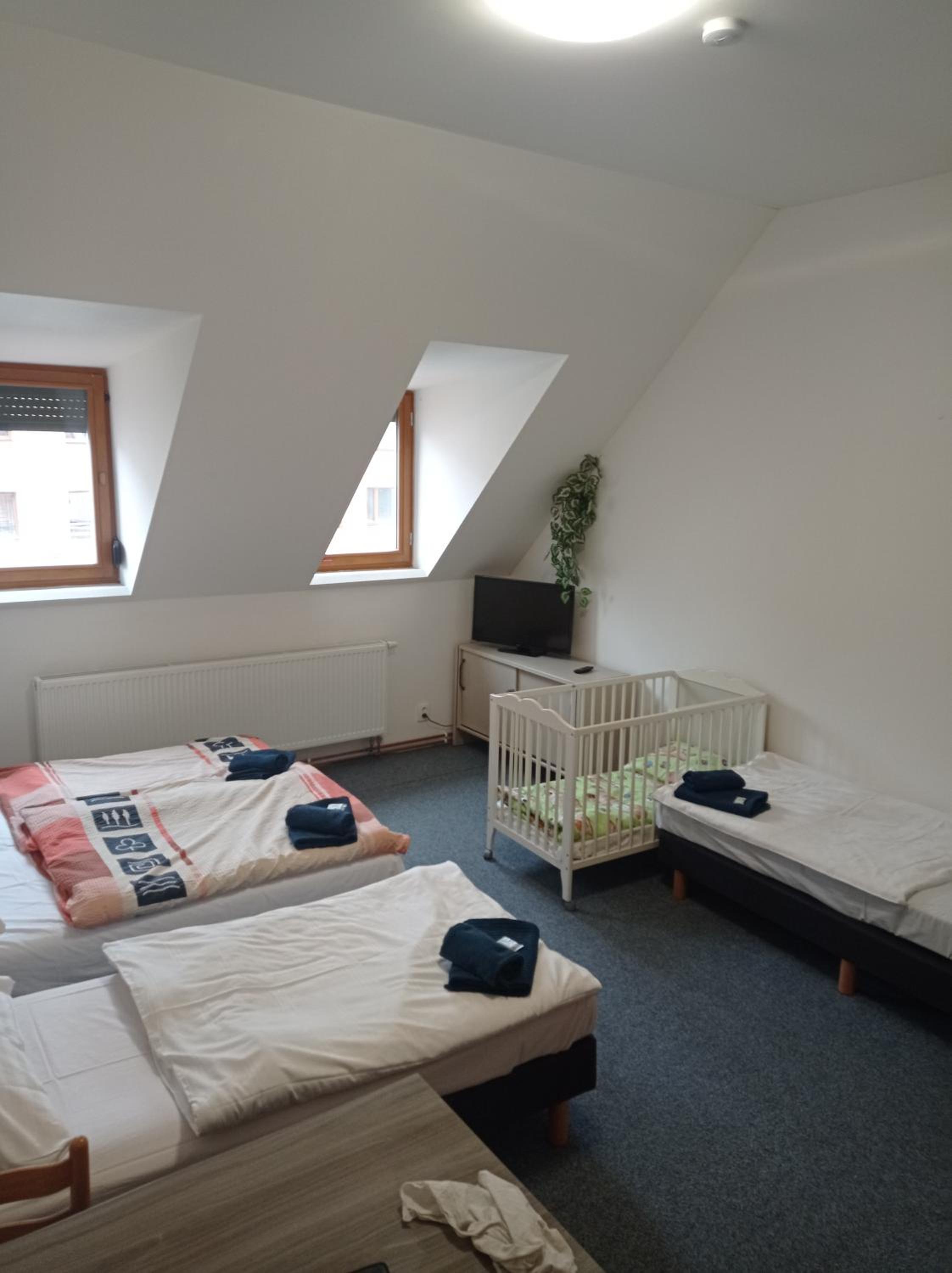 Family Suite photo 1