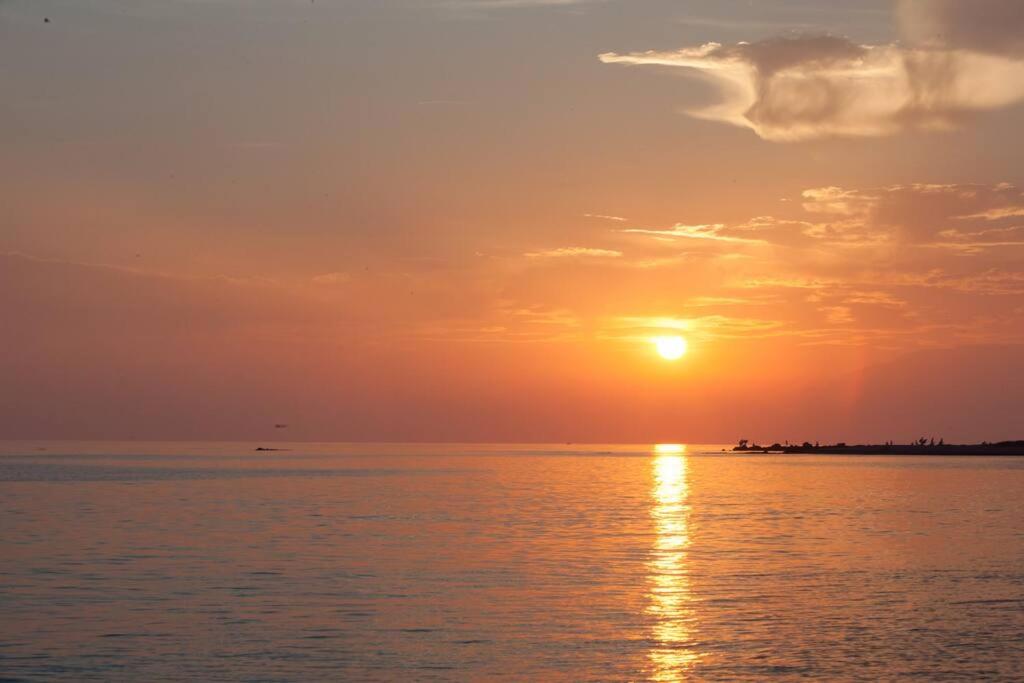 Studio With Sea View photo 2