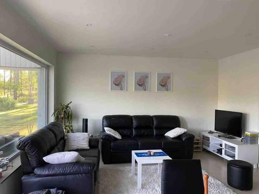 Three-Bedroom Villa photo 3