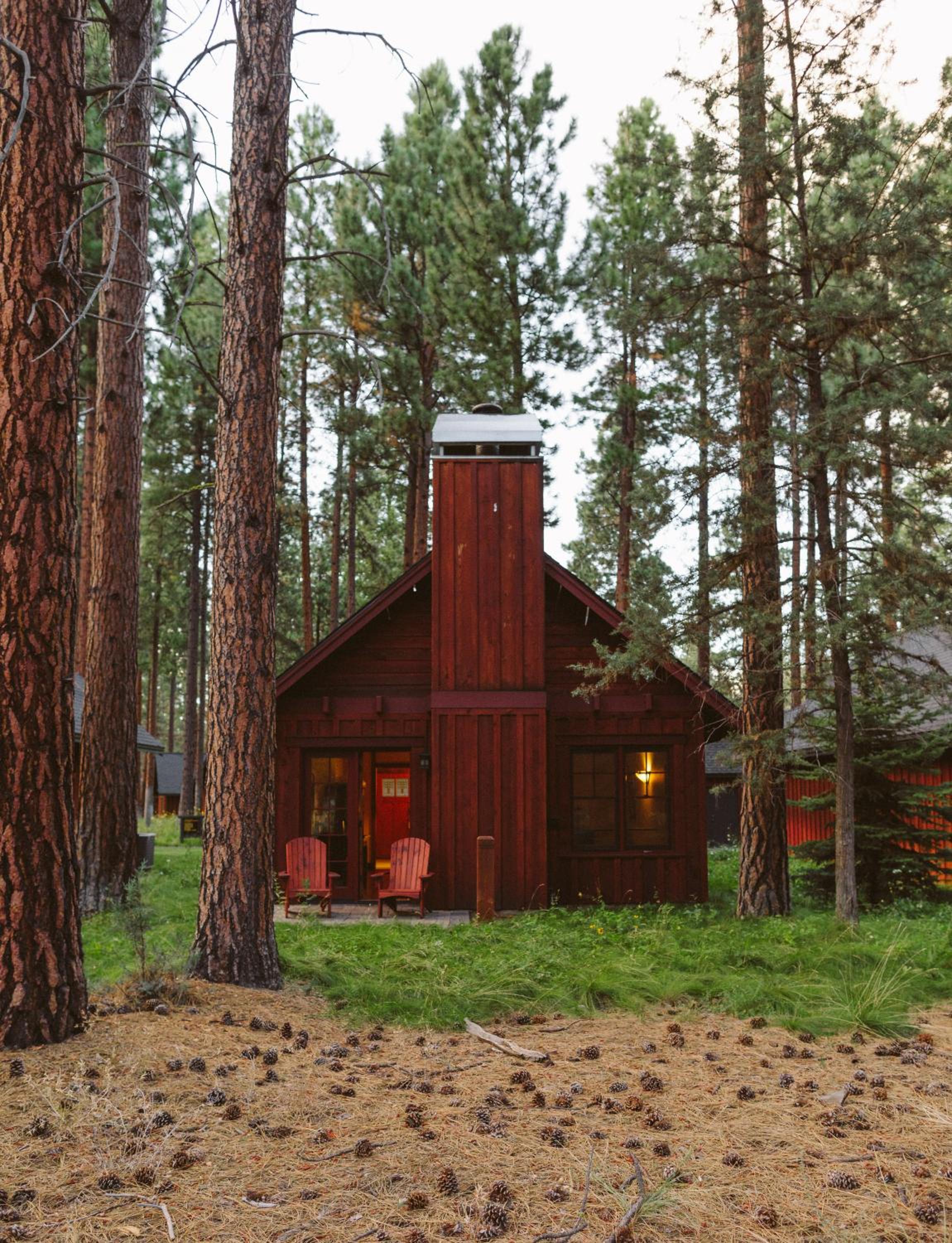 Deluxe Cottage photo 3