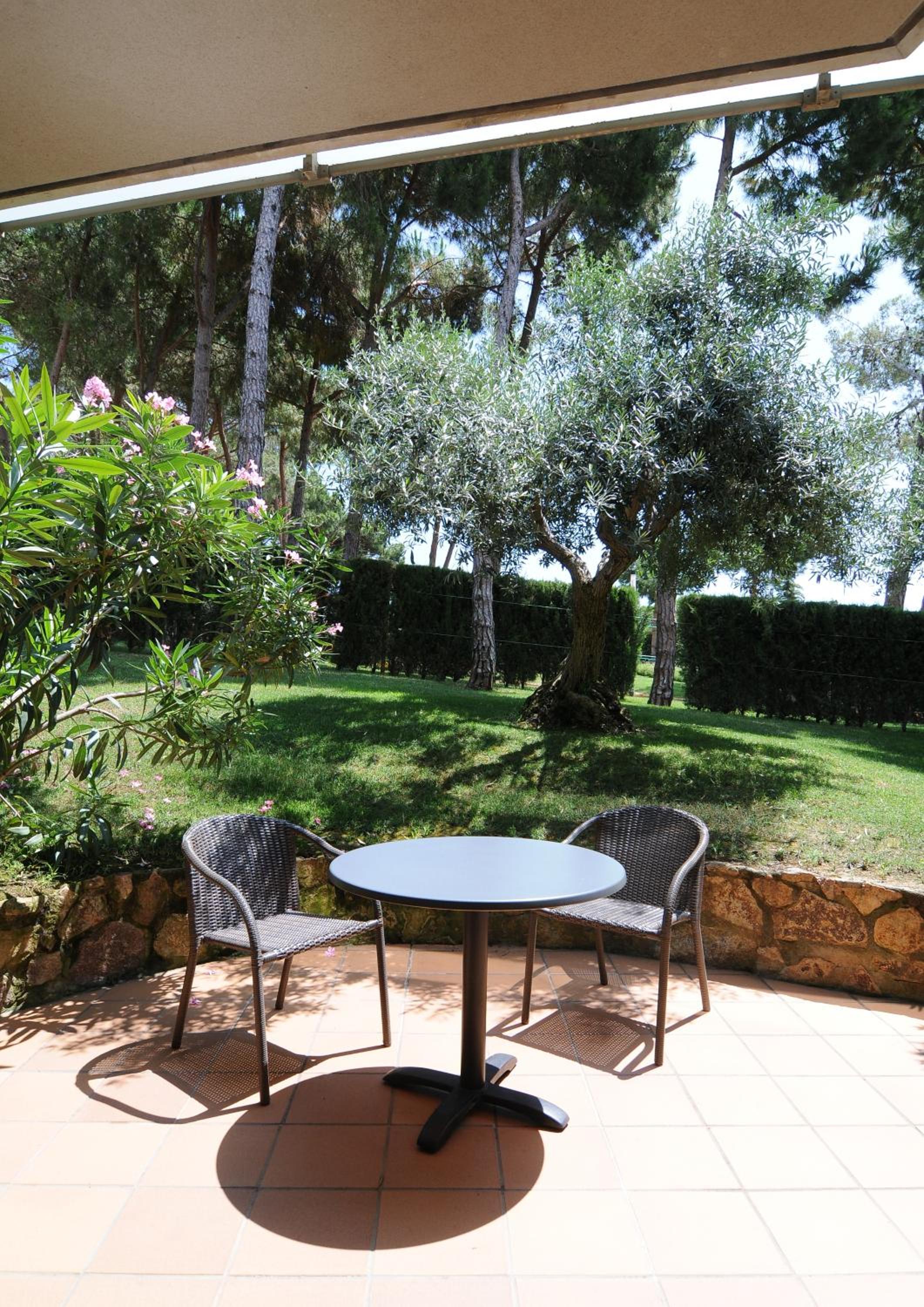 Apartamento de una habitación con terraza (2 adultos + 1 niño)