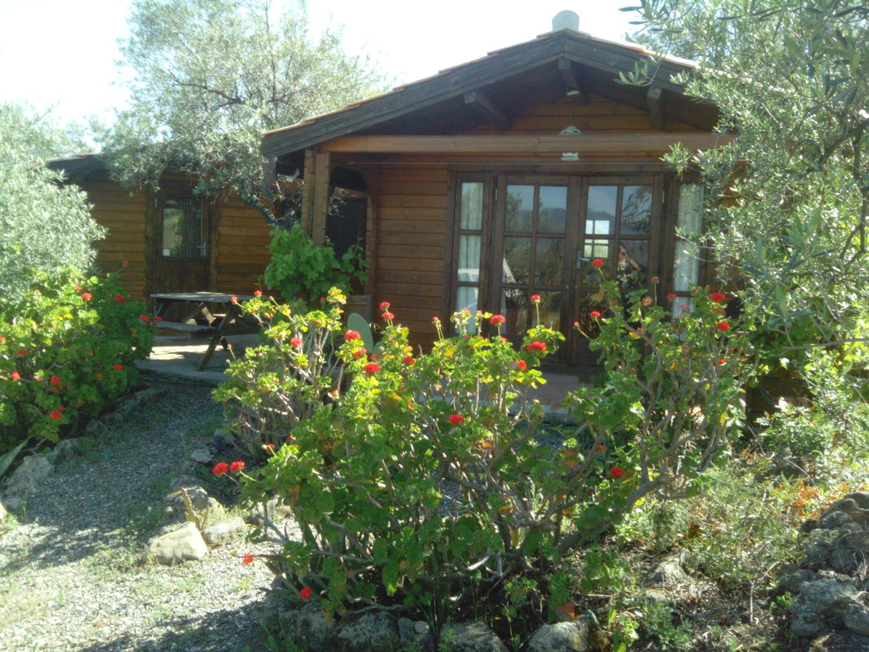 One-Bedroom House photo 2