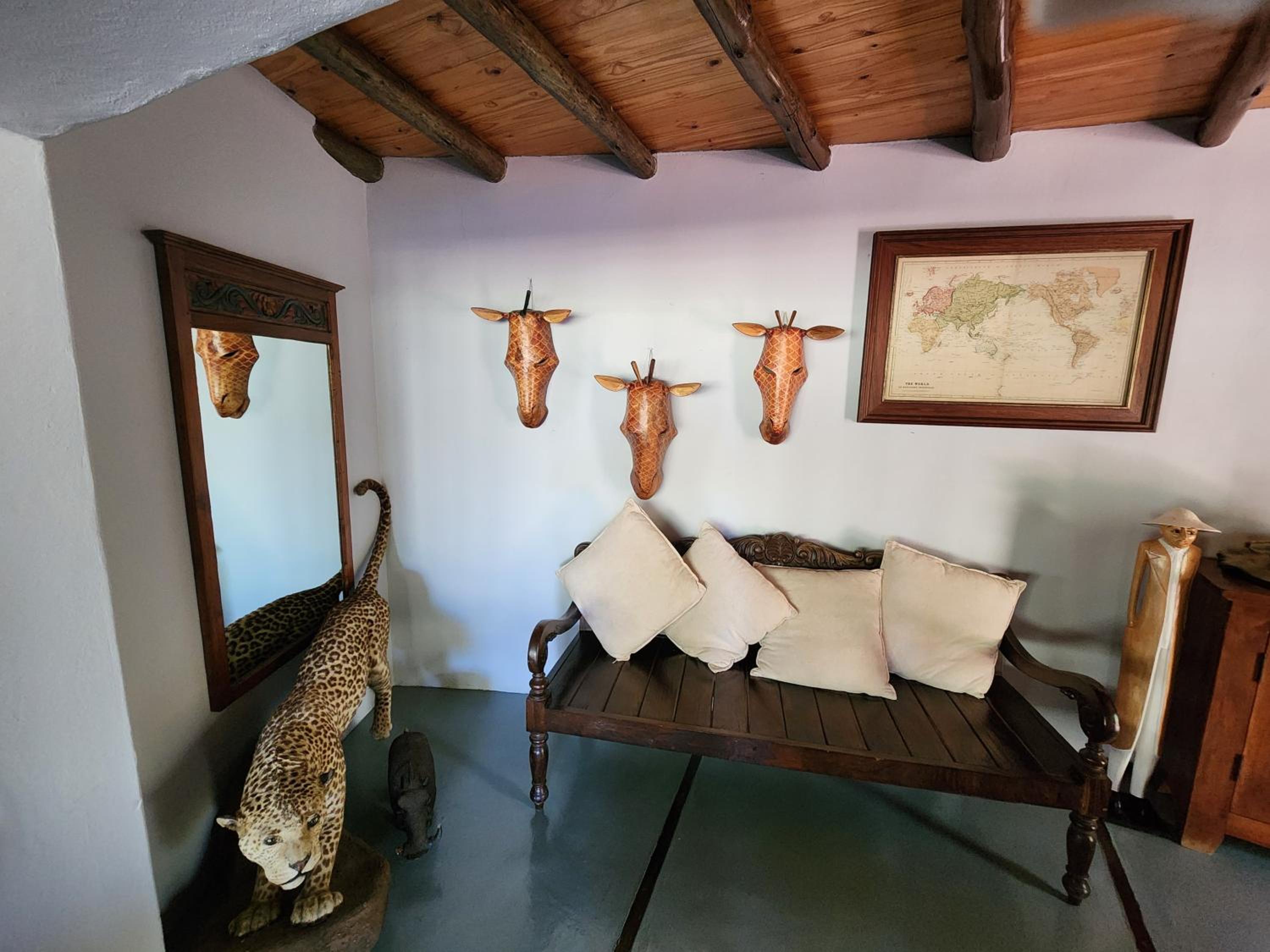 Suite - Photo 4