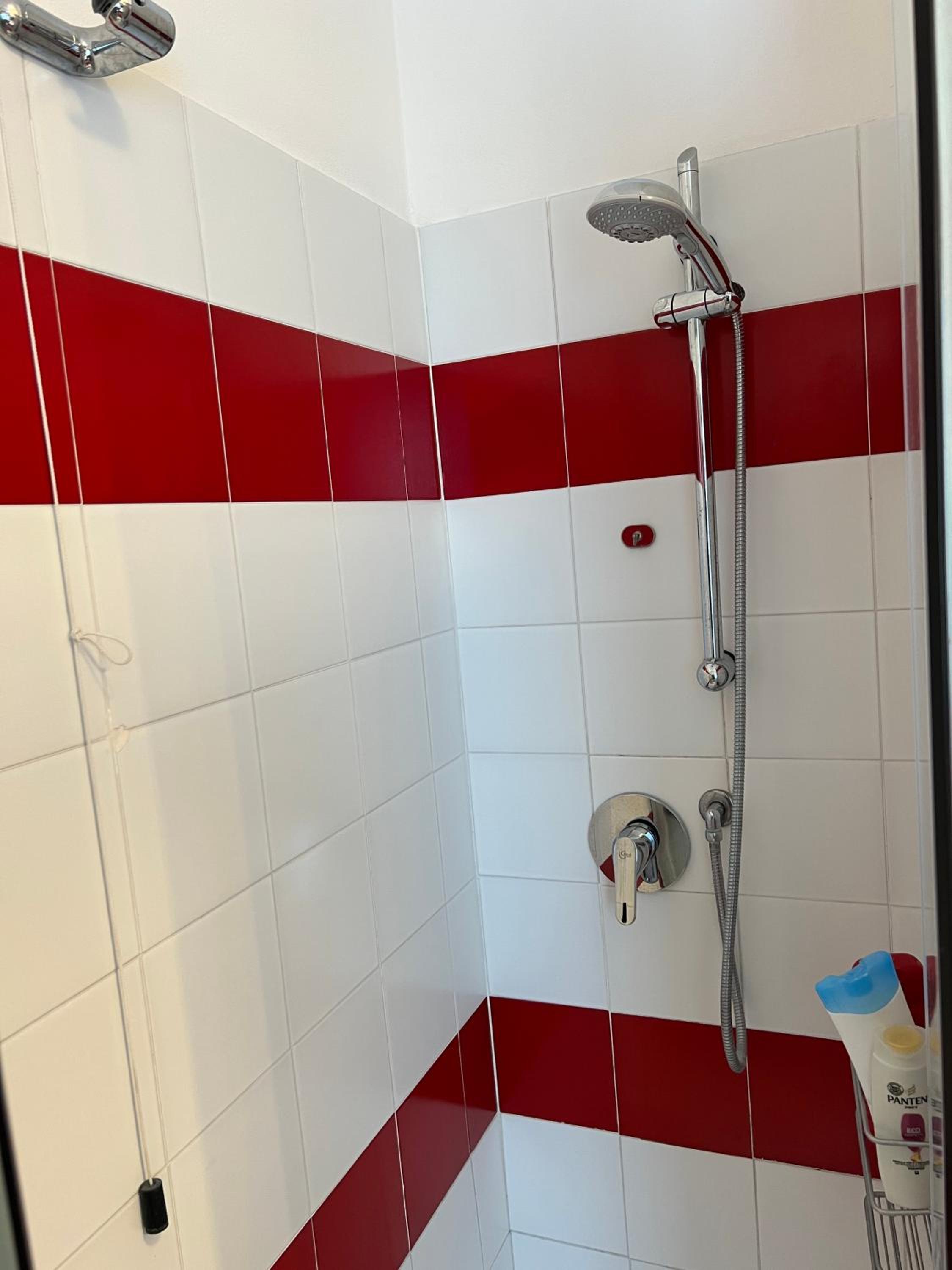 Single Room with Terrace