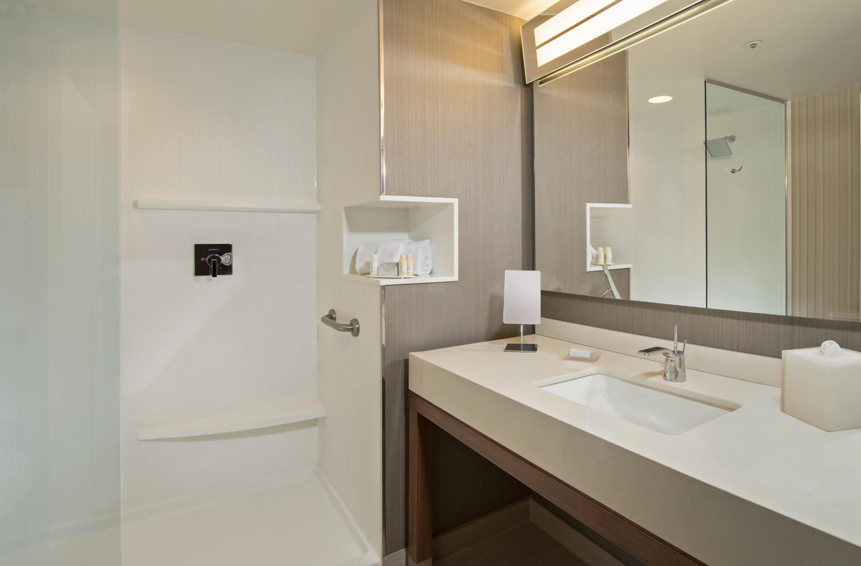 One-Bedroom King Suite with Sofa Bed photo 2