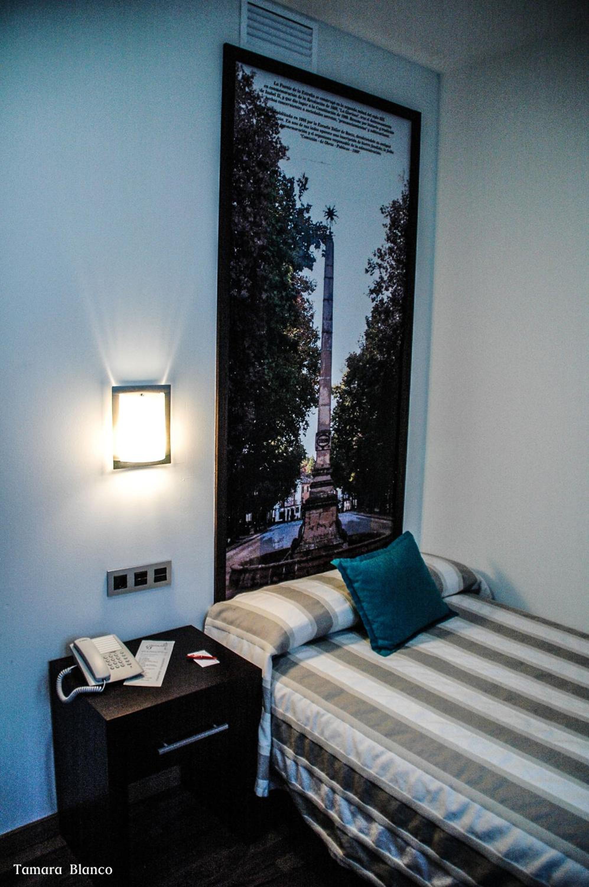 Single Room photo 2