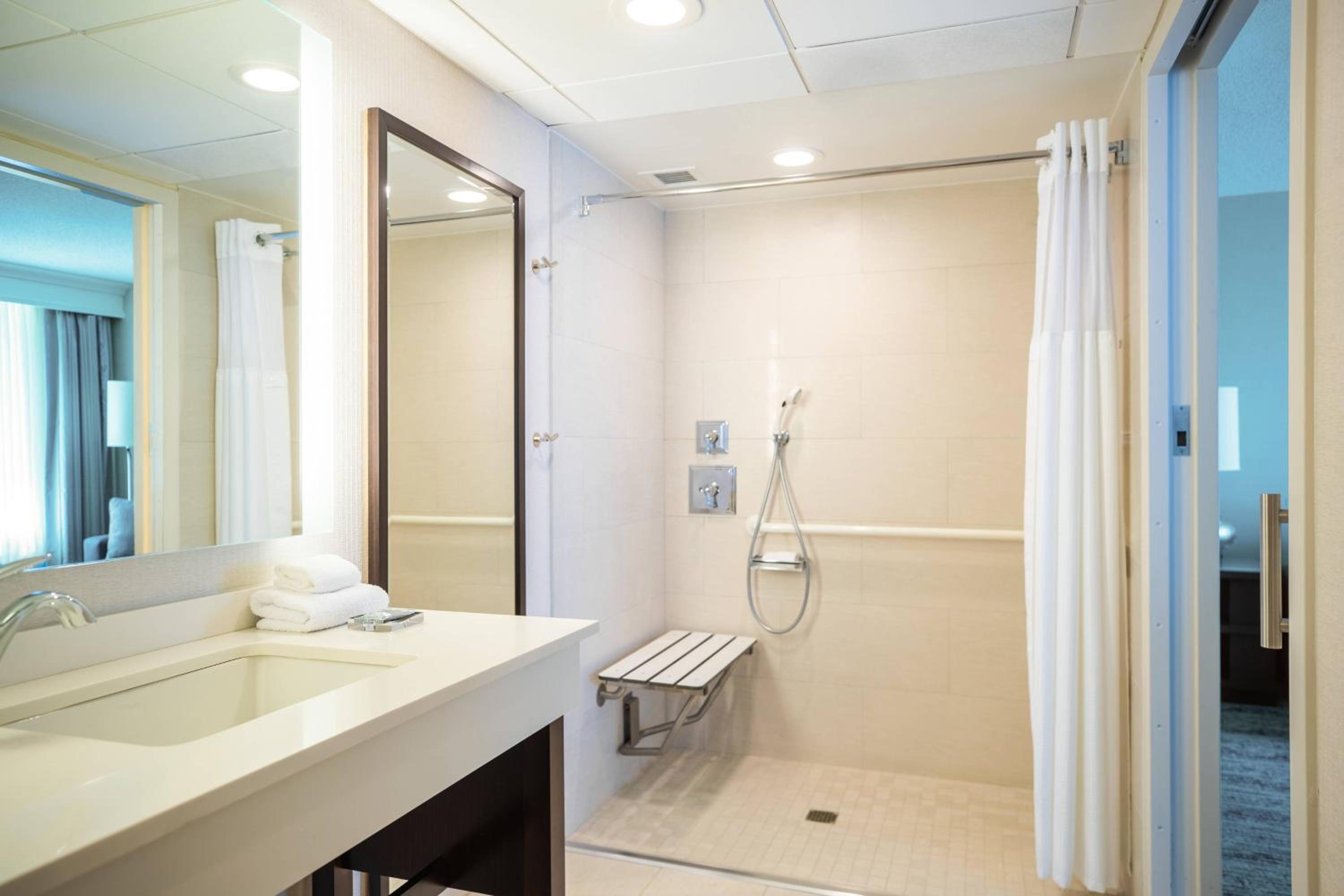 King Room with Sofa Bed and Roll-in Shower - Mobility Accessible - Photo 4