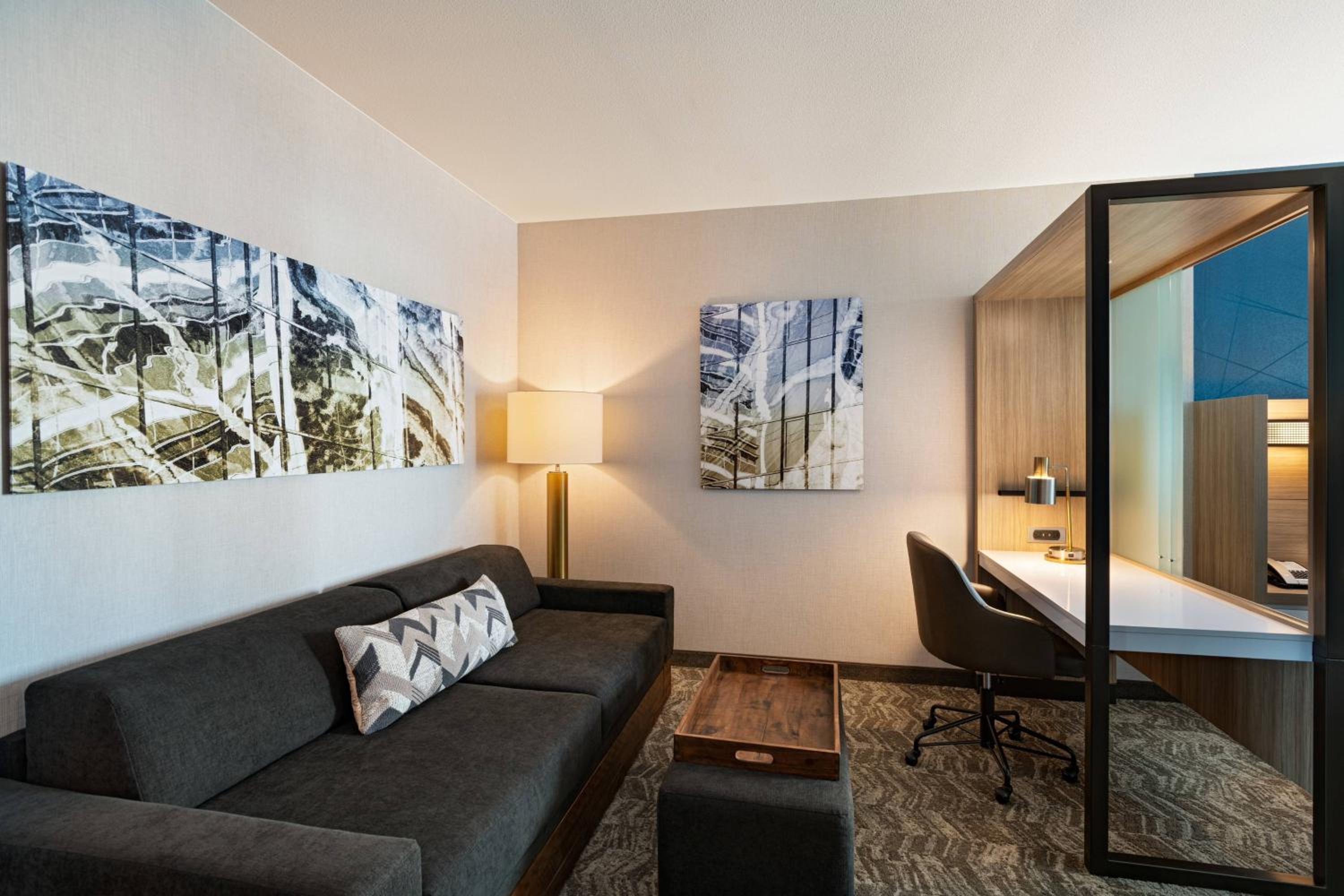 King Suite with Sofa Bed and Trundle Bed - Hearing Accessible - Photo 9