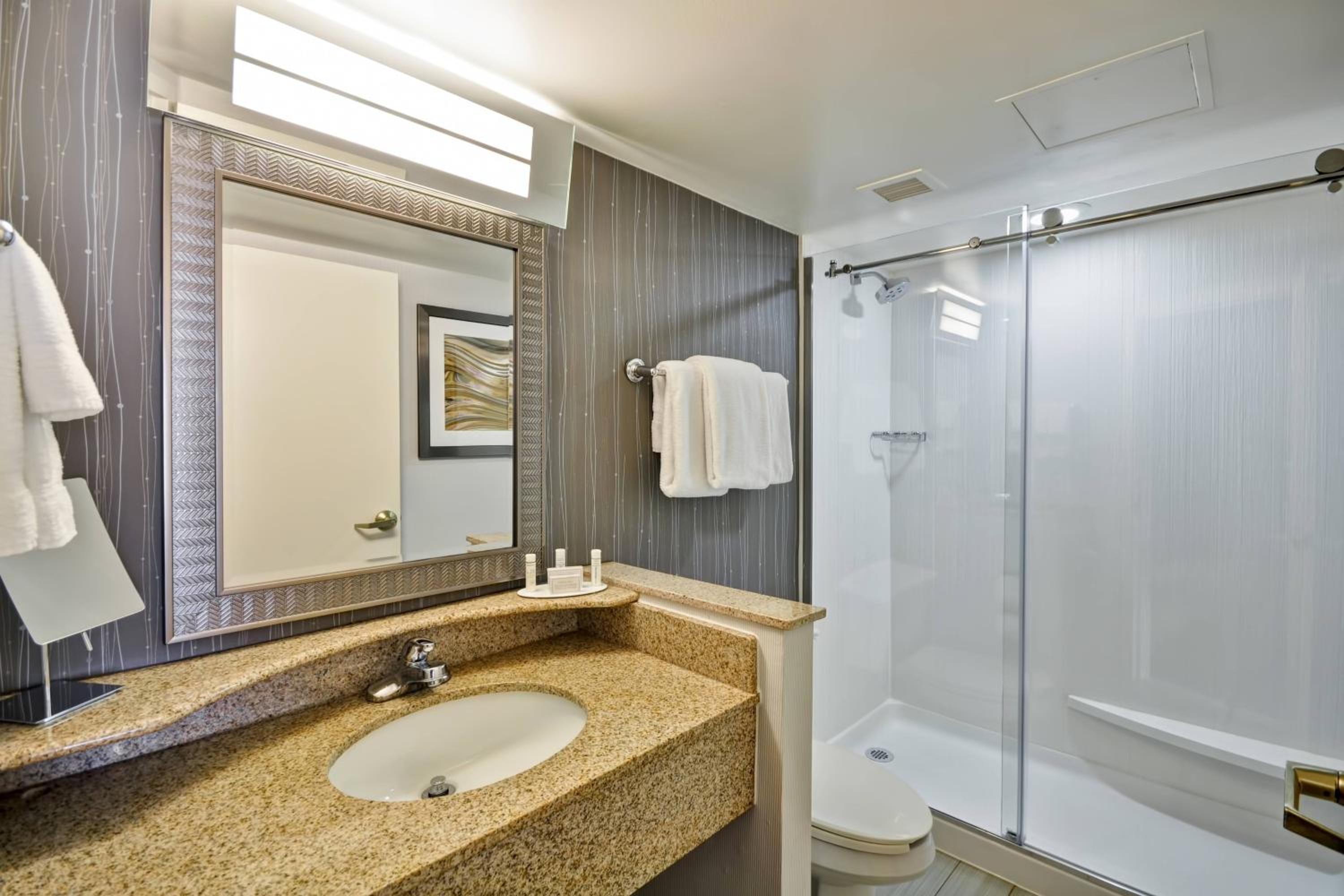 King Room with Sofa Bed and Roll-in Shower - Mobility Accessible - Photo 3