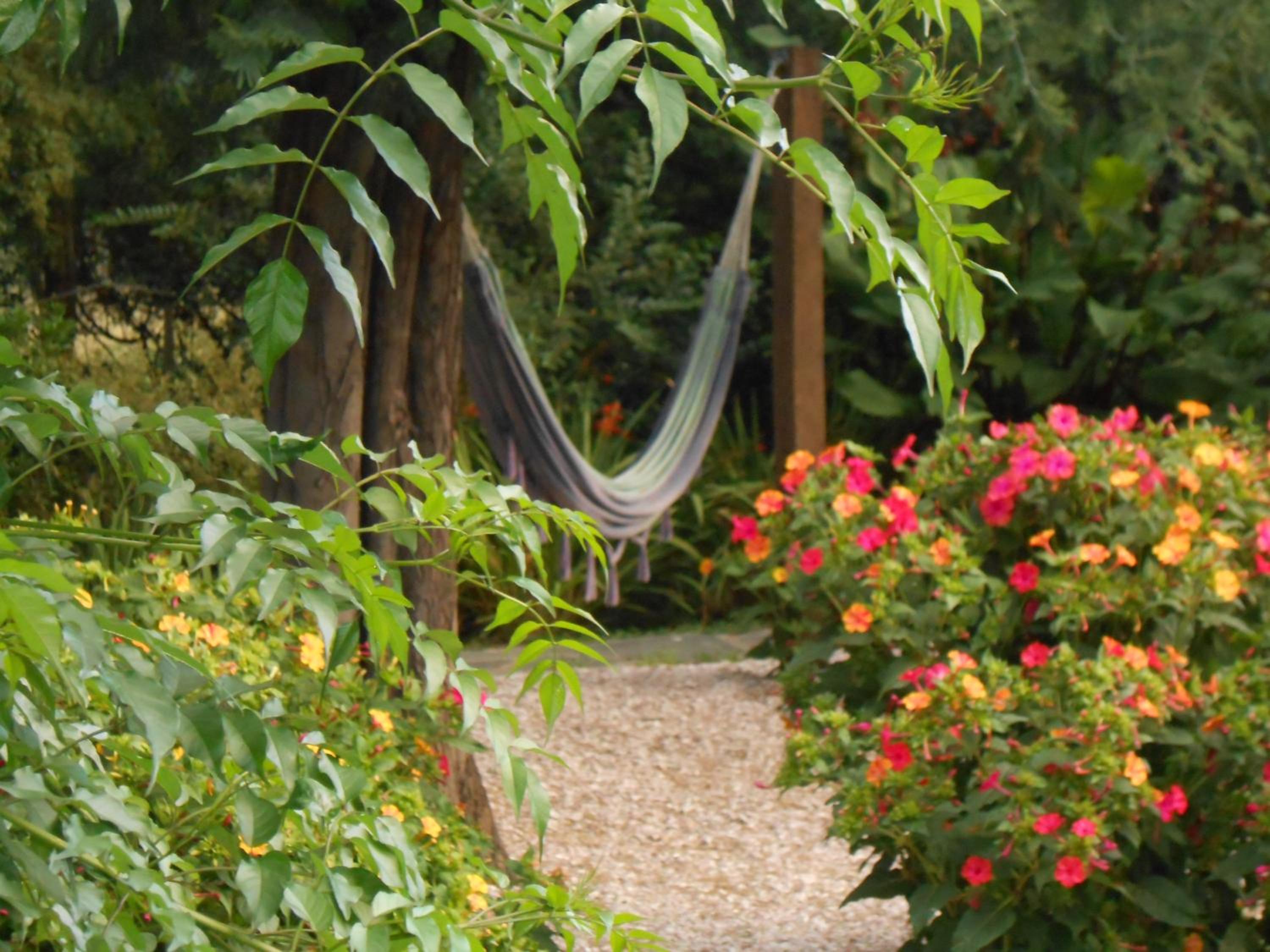 Studio with Garden View photo 3