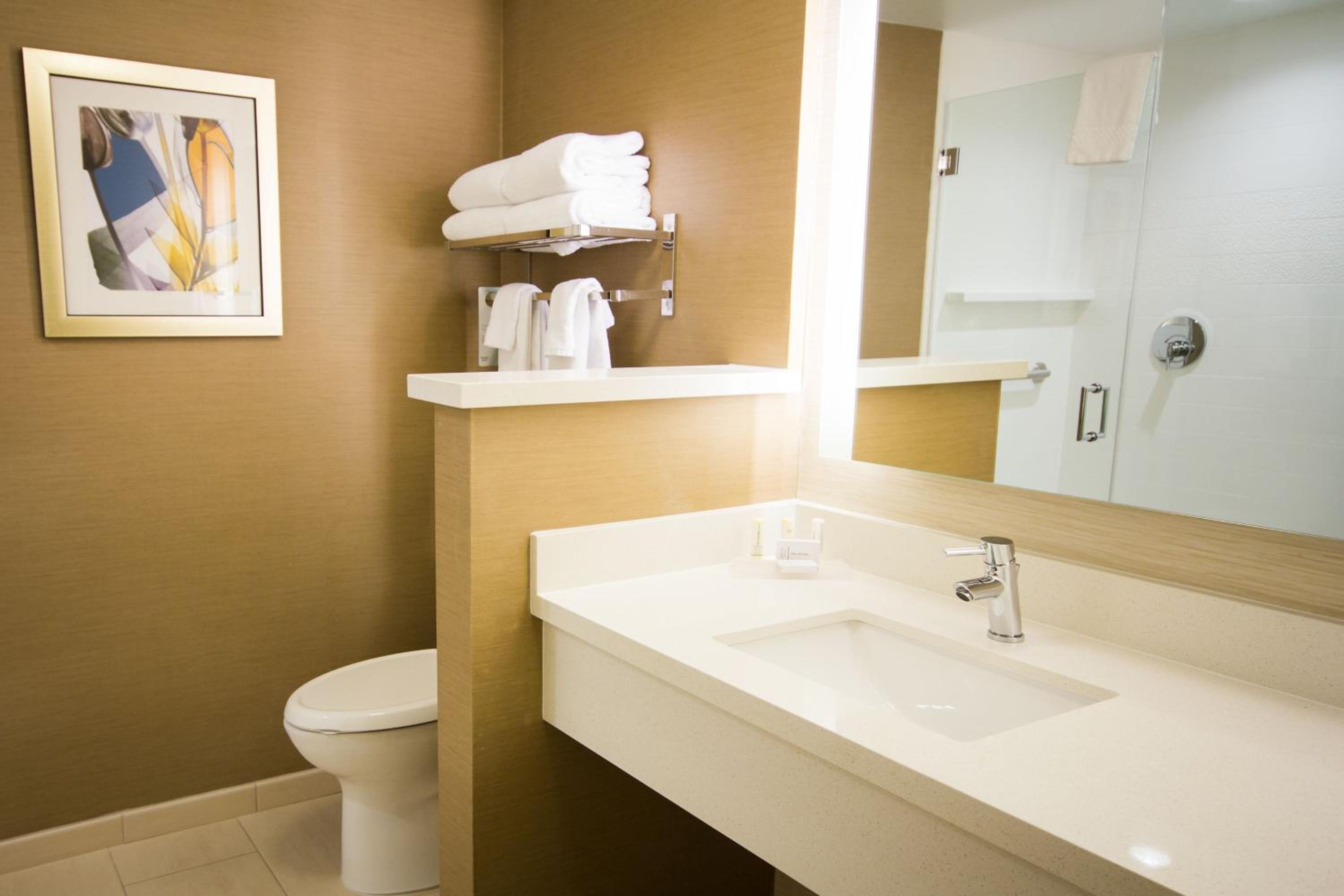 King Suite with Sofa Bed - Hearing Accessible photo 3