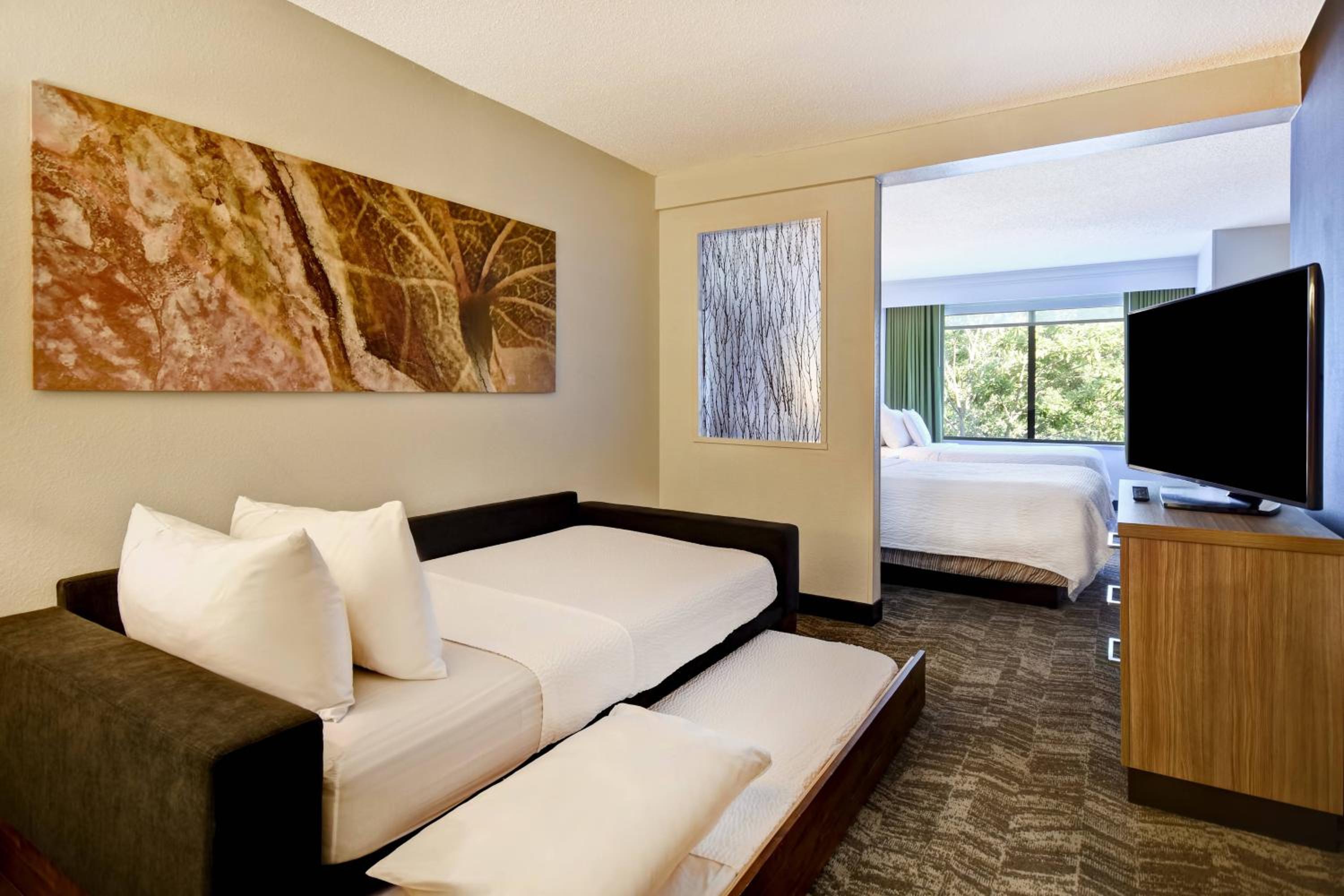 Double Suite with Sofa Bed - Photo 5